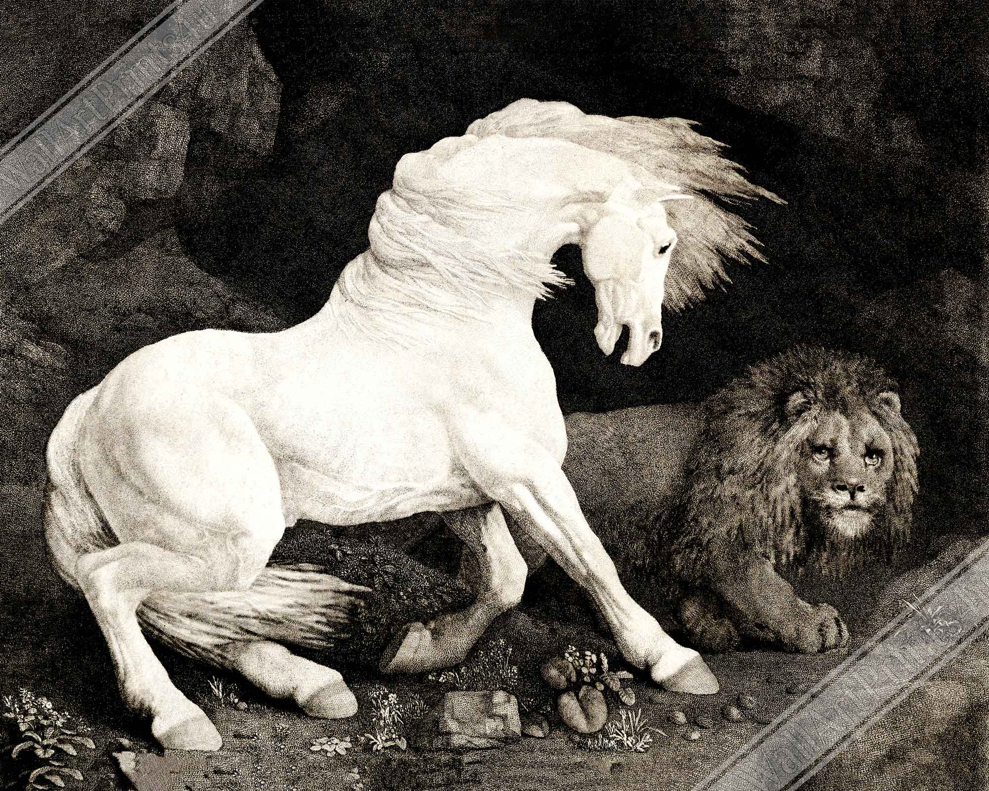 Vintage Frightened Horse Digital Download, A Horse Affrighted By A Lion - George Stubbs Printable D/load - WallArtPrints4U