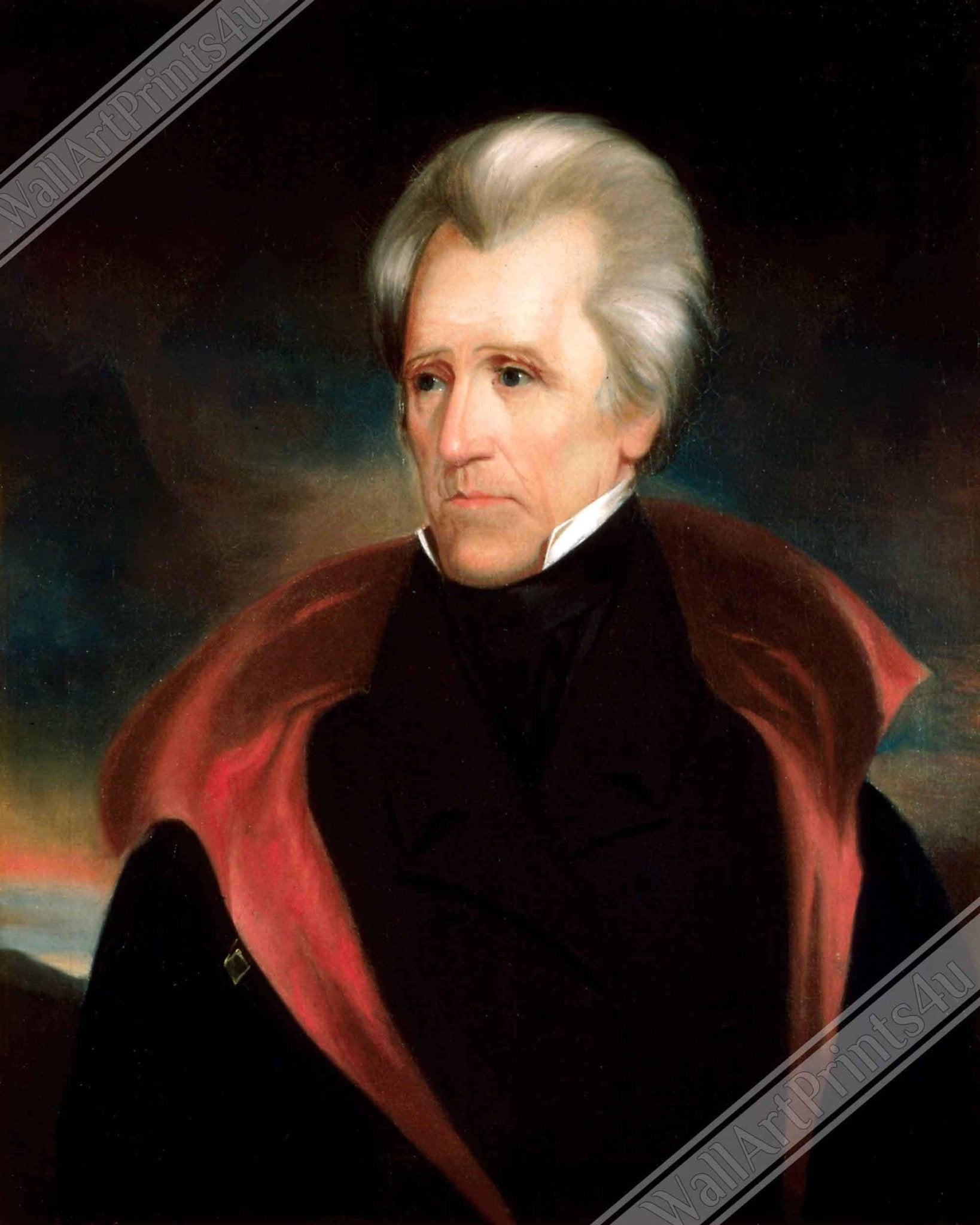 Andrew Jackson Framed, 7th President Of Usa, Vintage Portrait - Andrew Jackson Framed Print - WallArtPrints4U