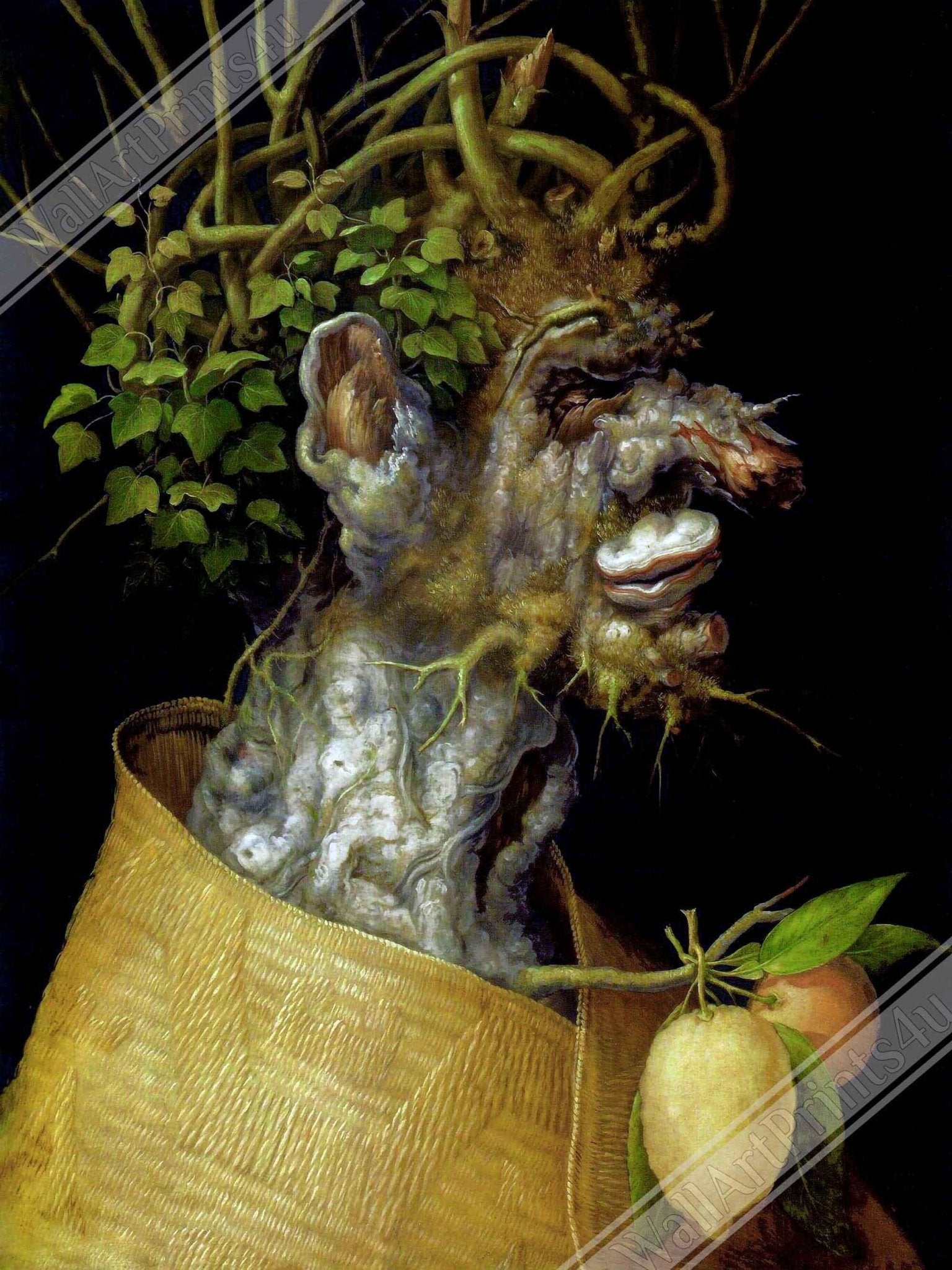 Arcimboldo Winter Framed Print, Winter Season Framed Print, Giuseppe Arcimboldo - WallArtPrints4U