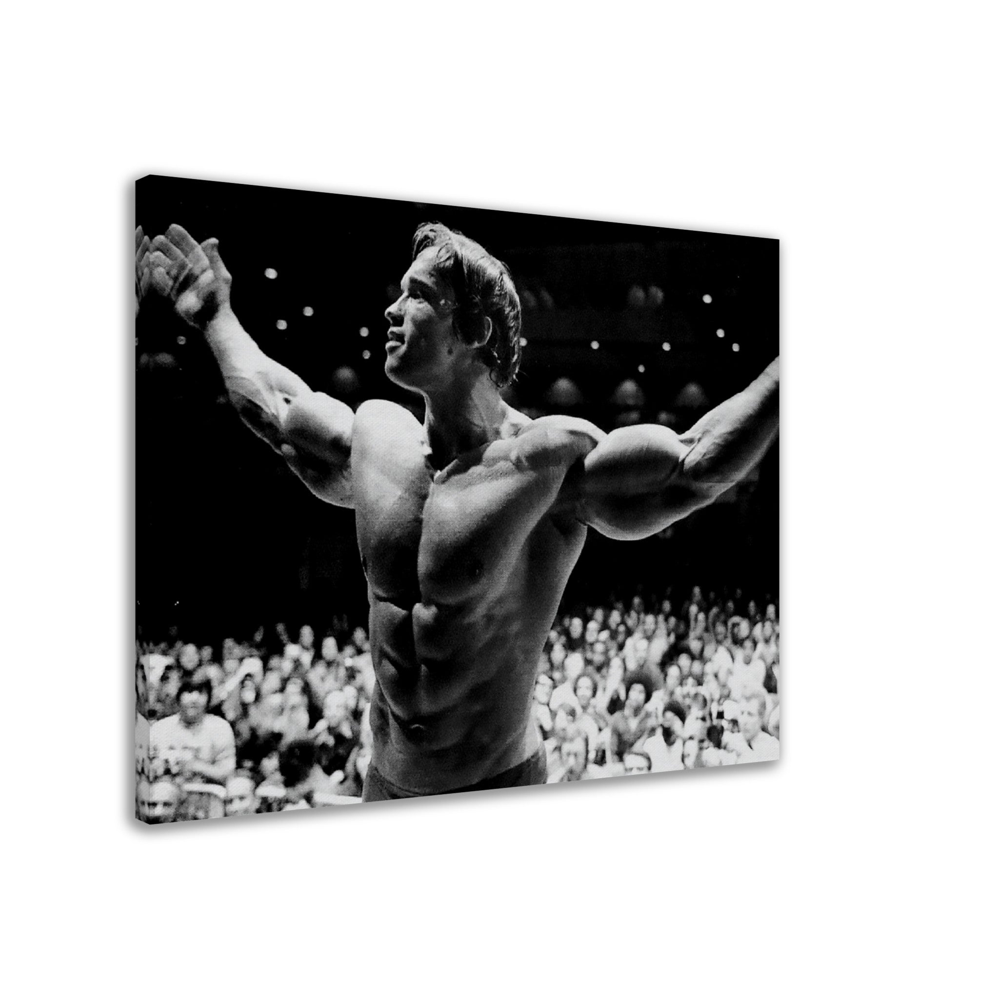 Arnold Schwarzenegger Canvas Print, Seven Time Mr Olympia, Vintage Photo Portrait, Arnold Schwarzenegger Print - WallArtPrints4U