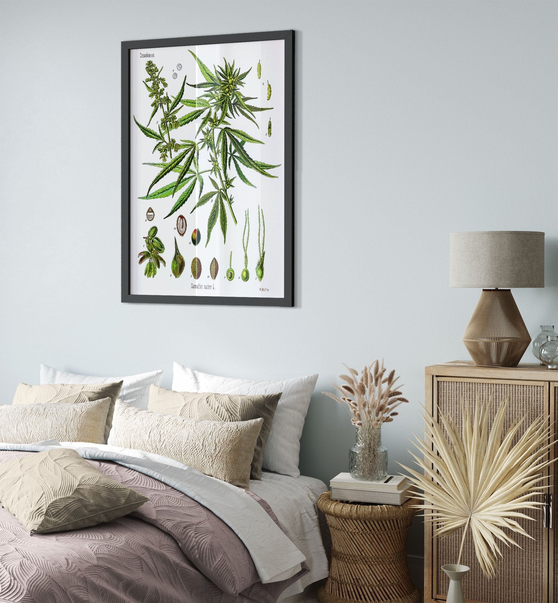Cannabis Sativa Botanical Framed, Marijuana Cannabis Sativa Botanical Framed Print UK, EU USA Domestic Shipping - WallArtPrints4U