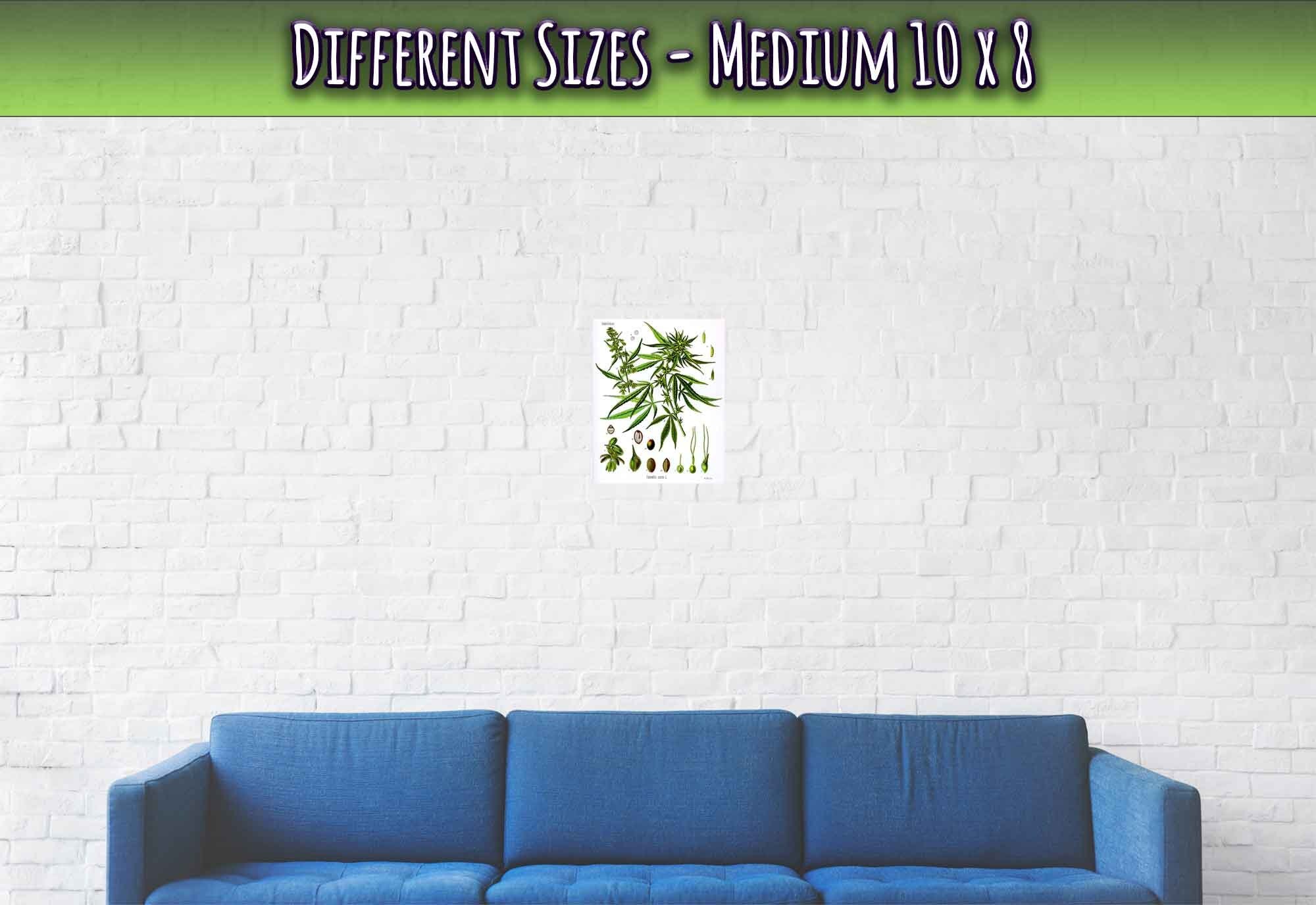 Cannabis Sativa Botanical Poster, Marijuana Cannabis Sativa Botanical Print - WallArtPrints4U