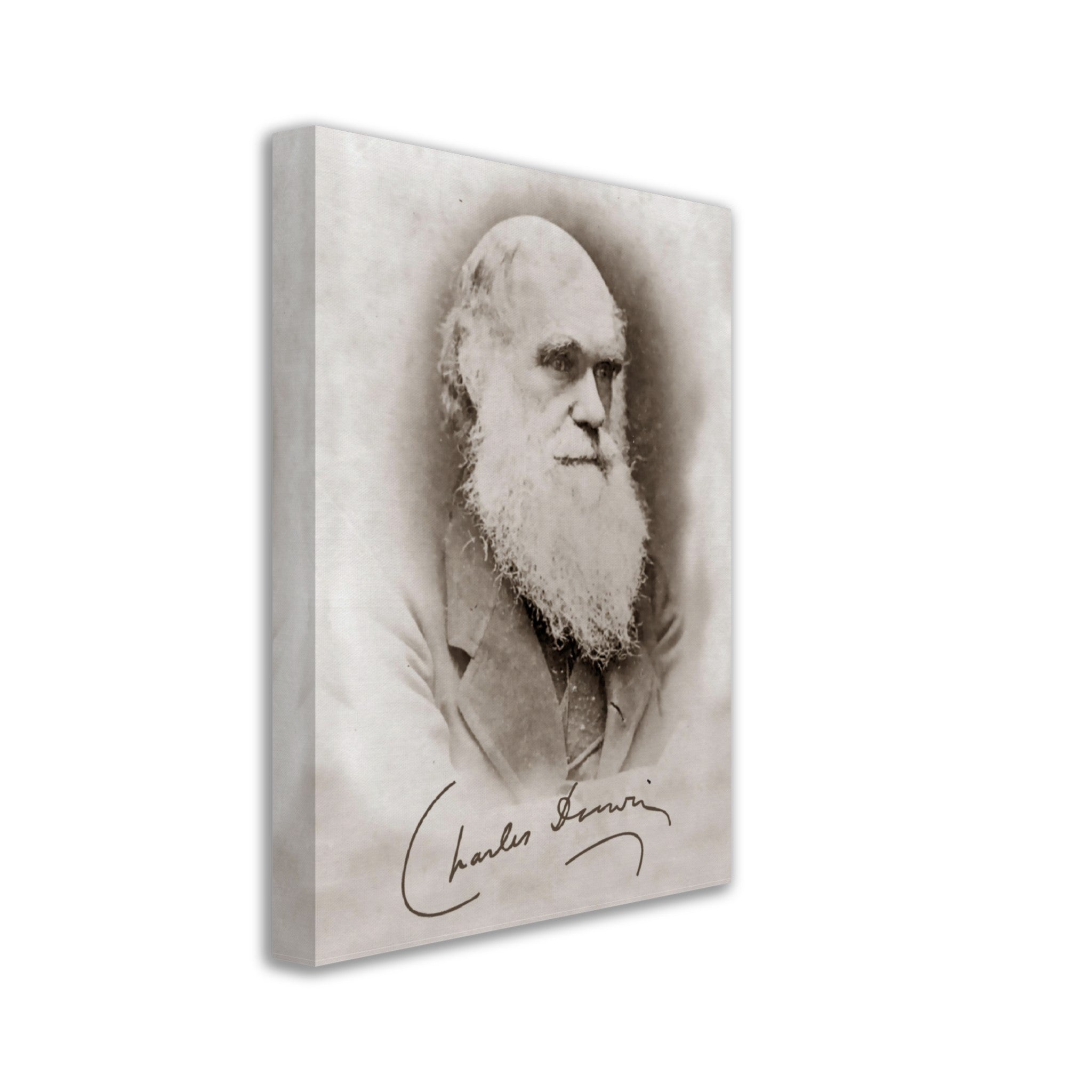 Charles Darwin Canvas, Evolution Theory Vintage Photo With Signature Charles Darwin Canvas Print - WallArtPrints4U
