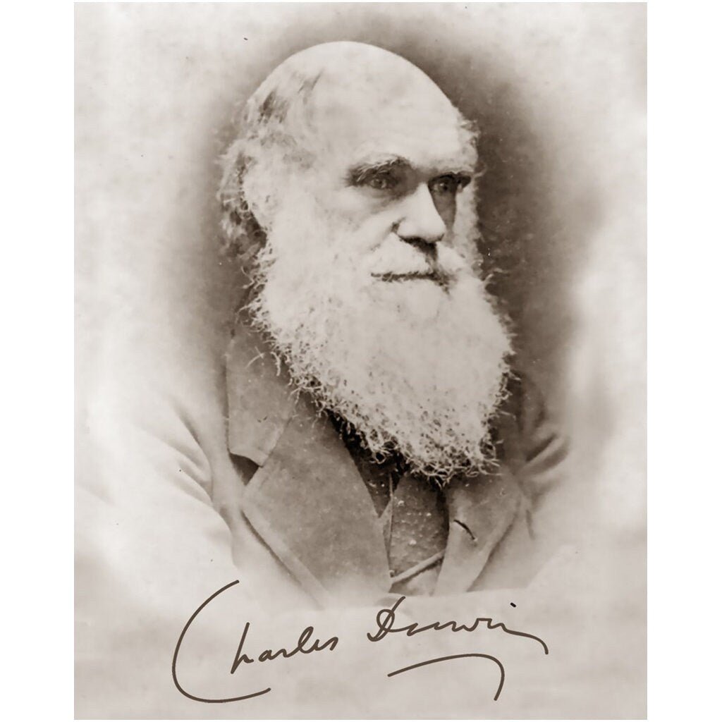 Charles Darwin Poster, Evolution Theory Vintage Photo With Signature Charles Darwin Print - WallArtPrints4U