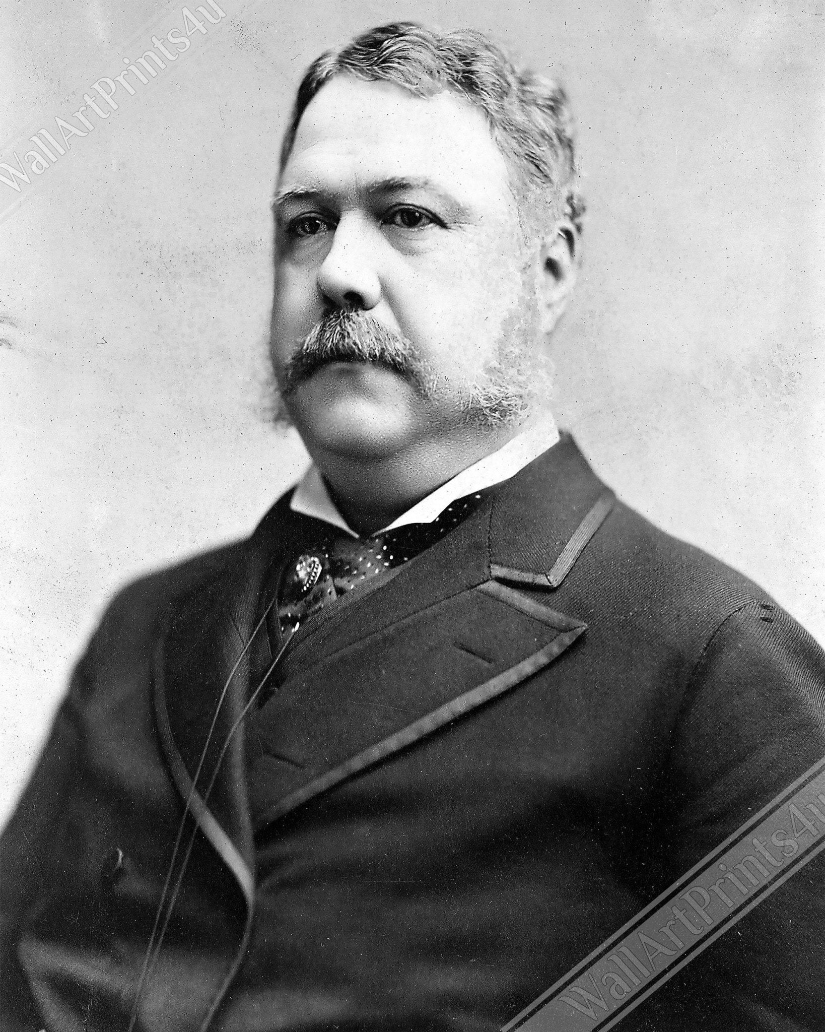 Chester Arthur Framed, 21st President Of Usa, Vintage Photo Portrait - Chester Arthur Framed Print - WallArtPrints4U