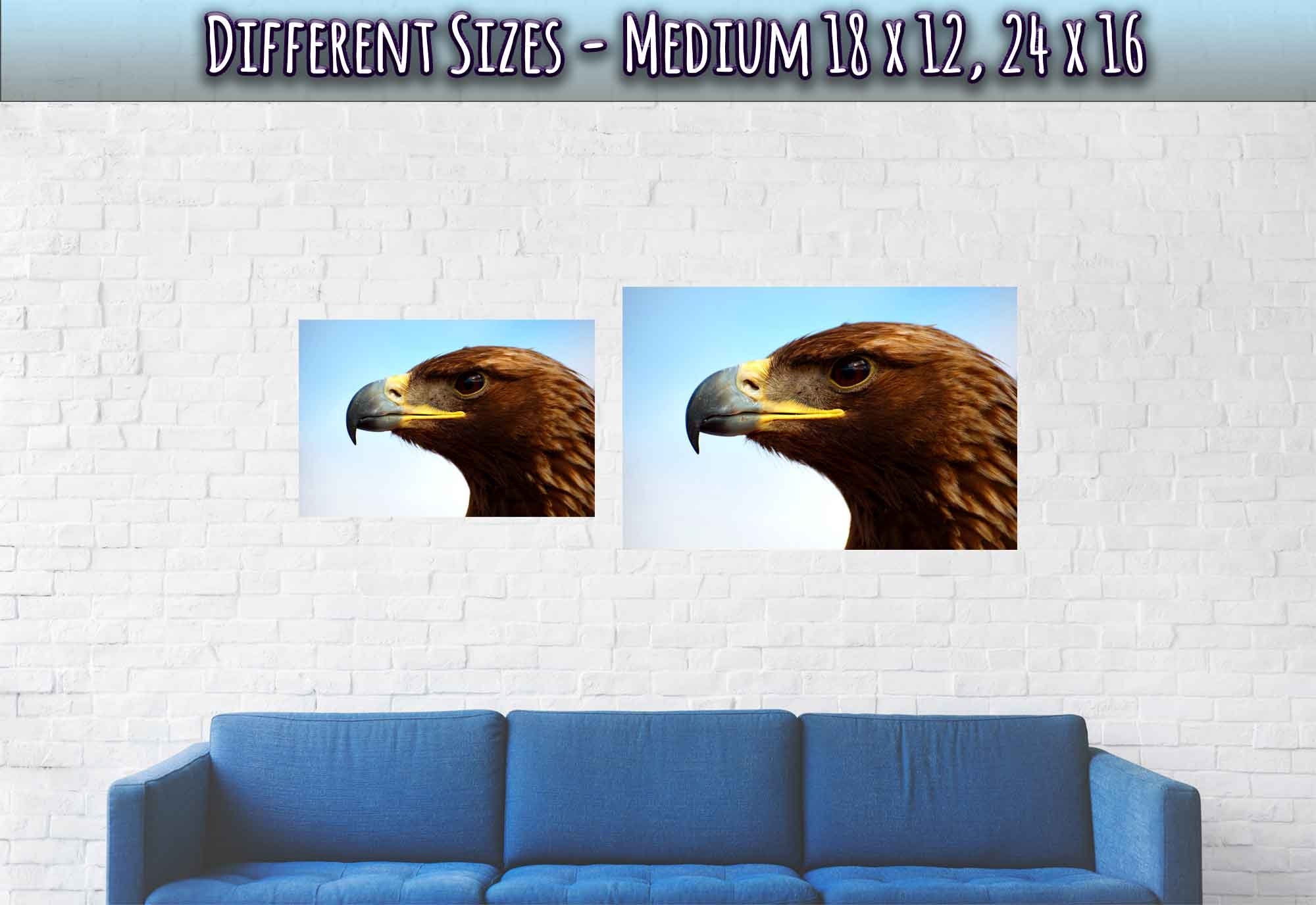 Eagle Poster, Golden Eagle Print Bird Of Prey Poster - WallArtPrints4U