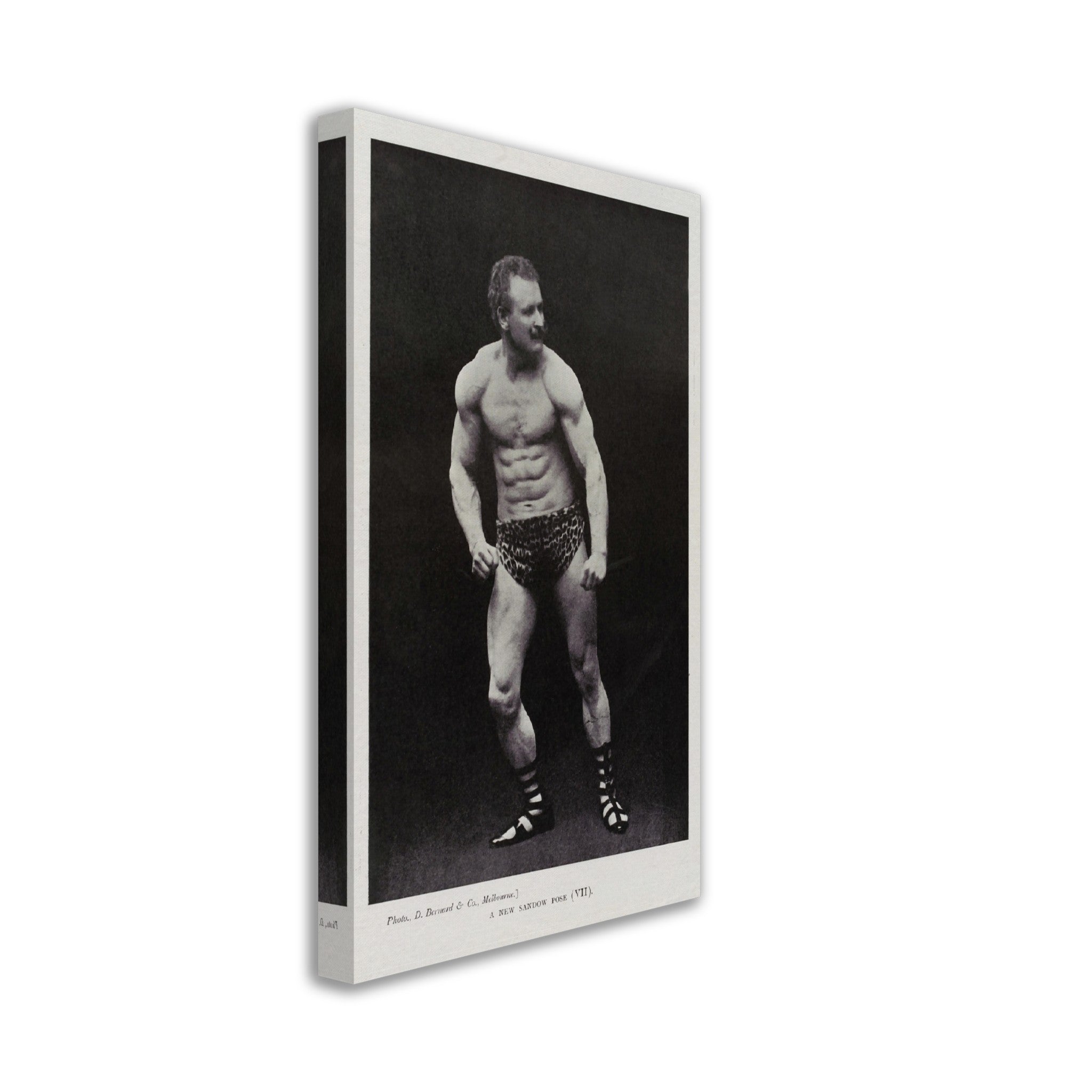 Eugen Sandow Canvas, Victorian Bodybuilder, Vintage Photo Eugen Sandow Canvas Print - Victorian Strongman Beefcake - WallArtPrints4U