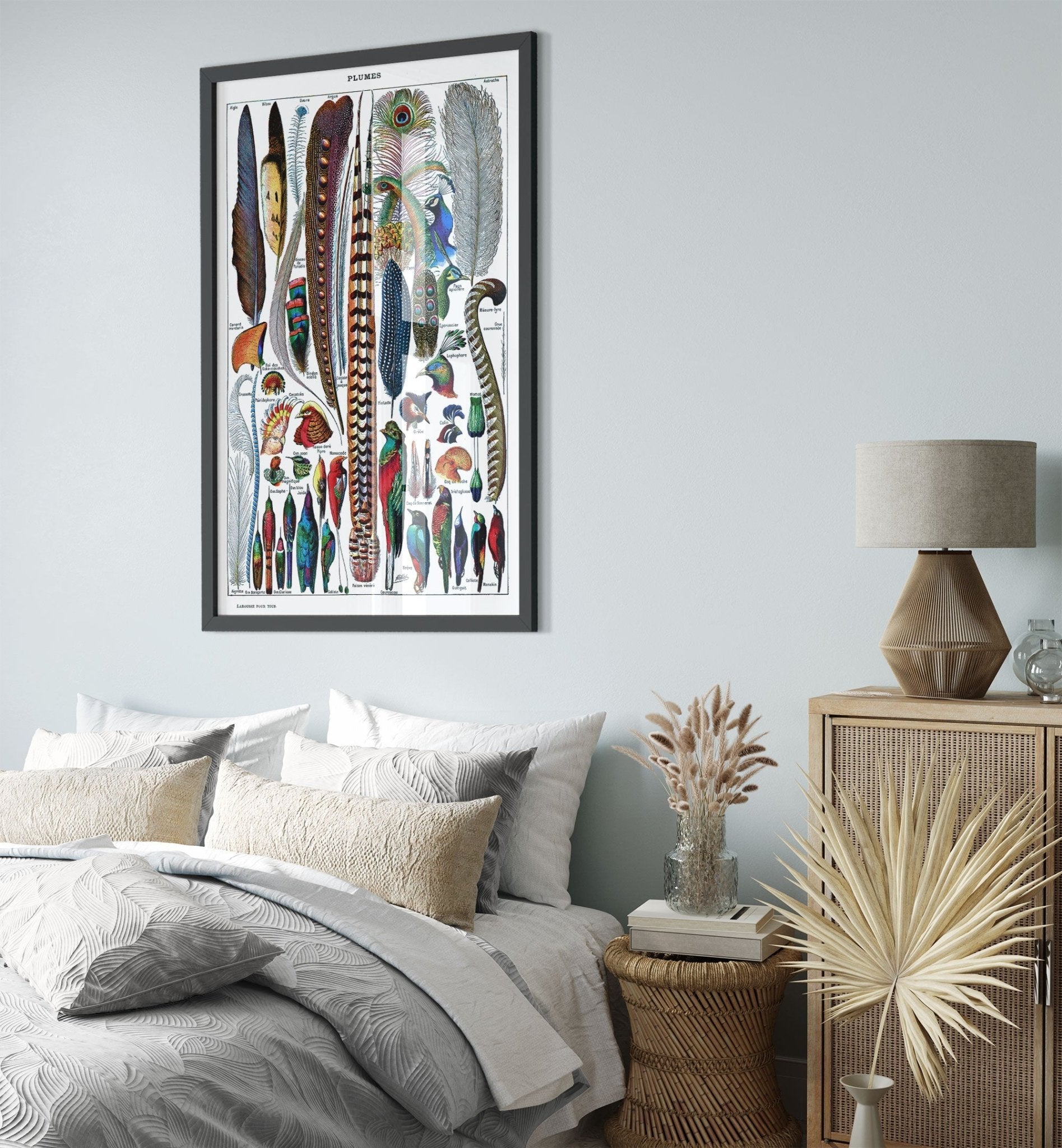 Feathers Framed - Vintage Plumes Adolphe Millot - Vintage Feathers/Plumes Framed Print - WallArtPrints4U