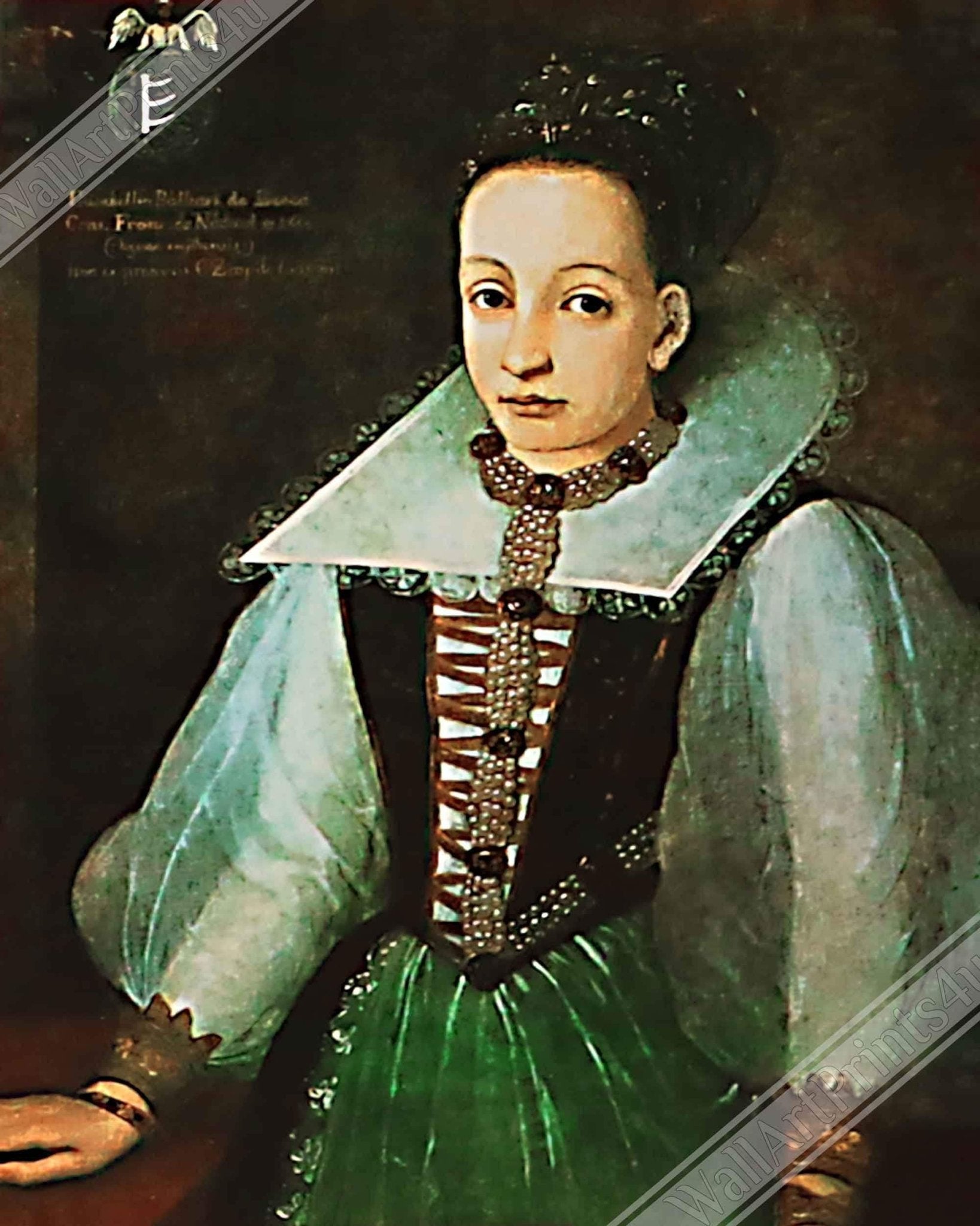 Female Serial Killer Poster, Medieval Alzbeta Bathory Print, Most Prolific Female Murderer - WallArtPrints4U