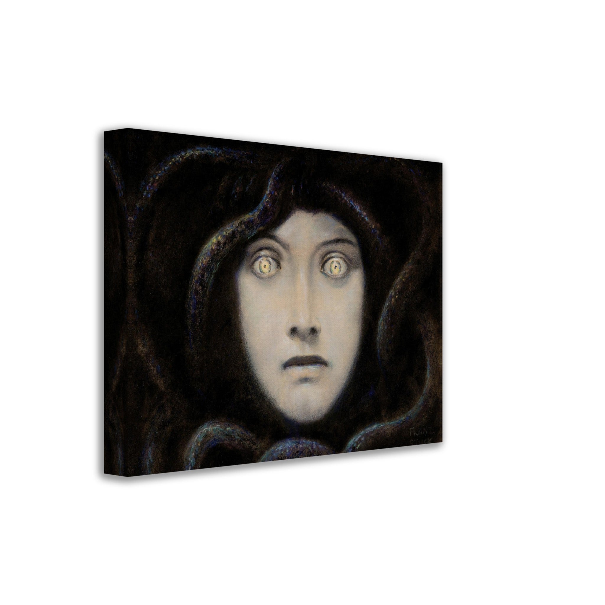 Franz Von Stuck Canvas Print, Medusa 1892 Von Stuck Canvas - WallArtPrints4U