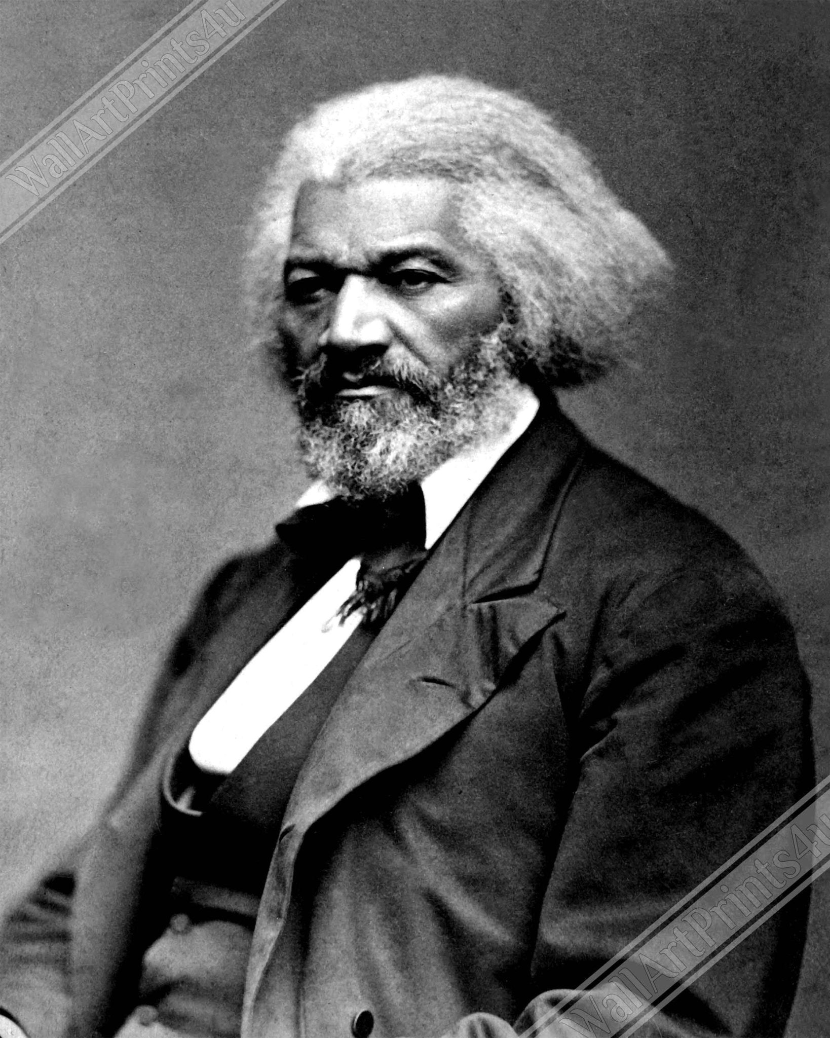 Frederick Douglass Framed, Abolitionist From 1879, Vintage Photo Portrait - Frederick Douglass Framed Print - WallArtPrints4U