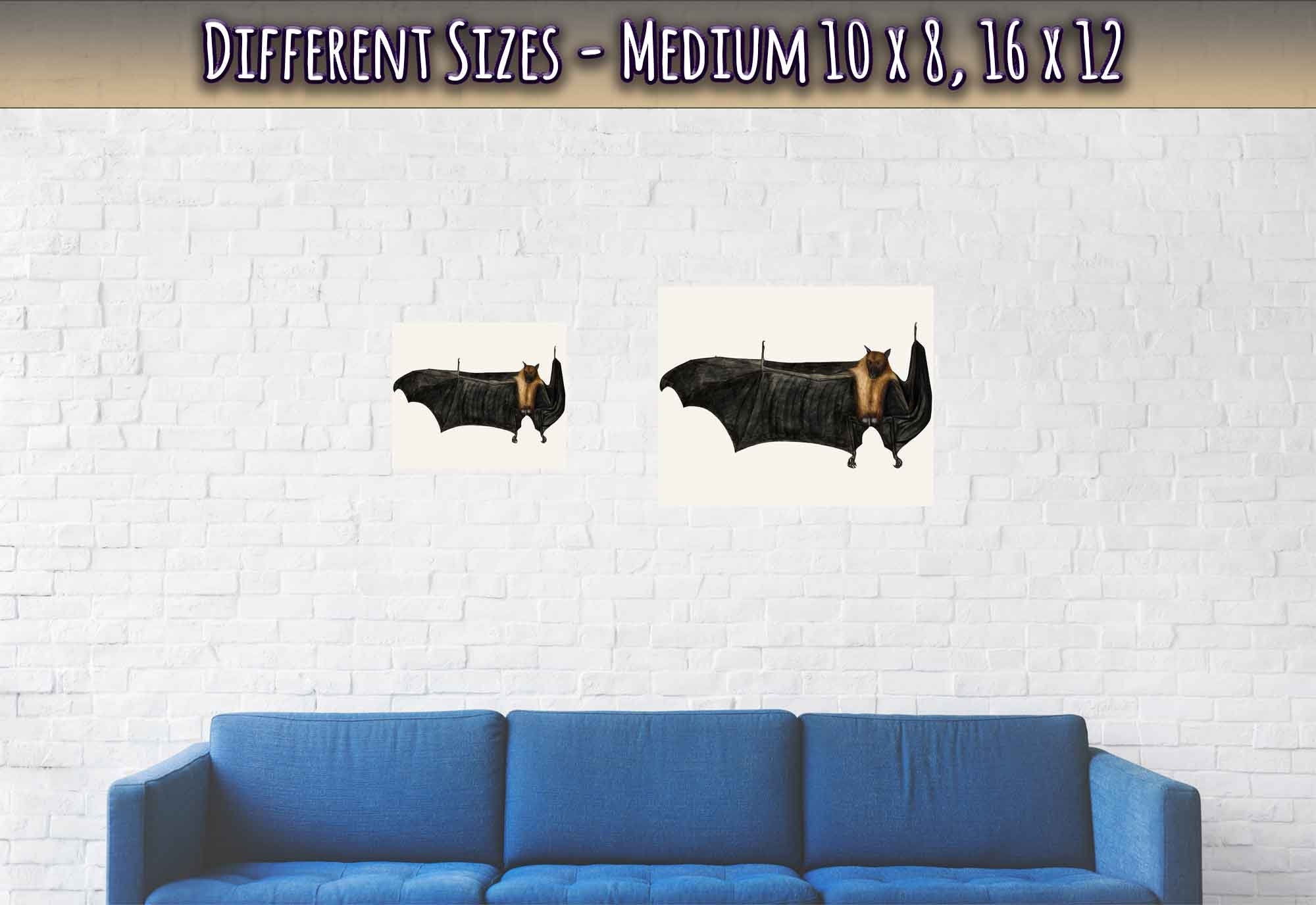 Fruit Bat Poster, Vintage Indian Fruit Bat Art - Vintage Fruit Bat Print - WallArtPrints4U