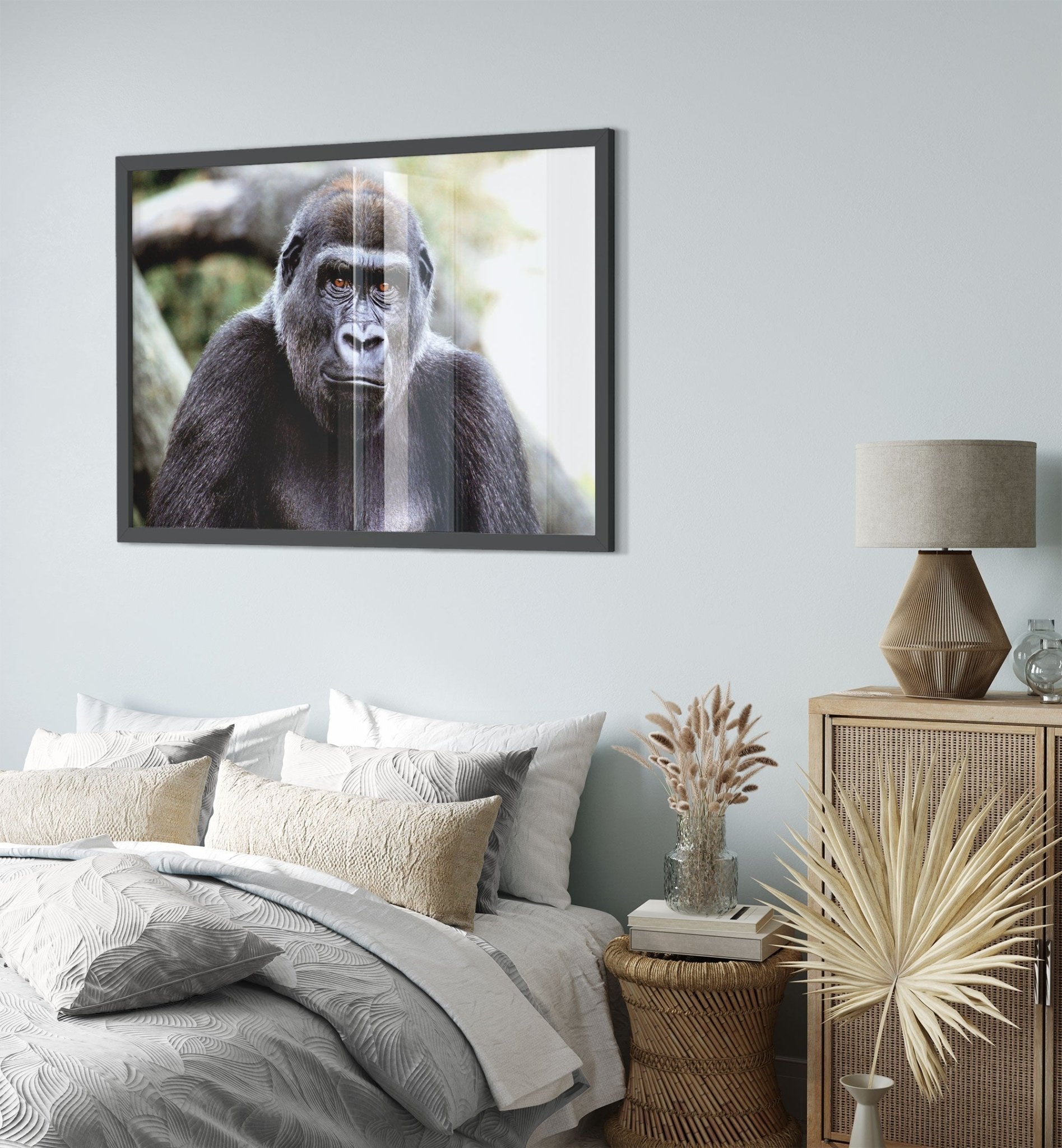 Gorilla Framed Print , Handsome Gorilla Smithsonian National Zoo 2002 - WallArtPrints4U