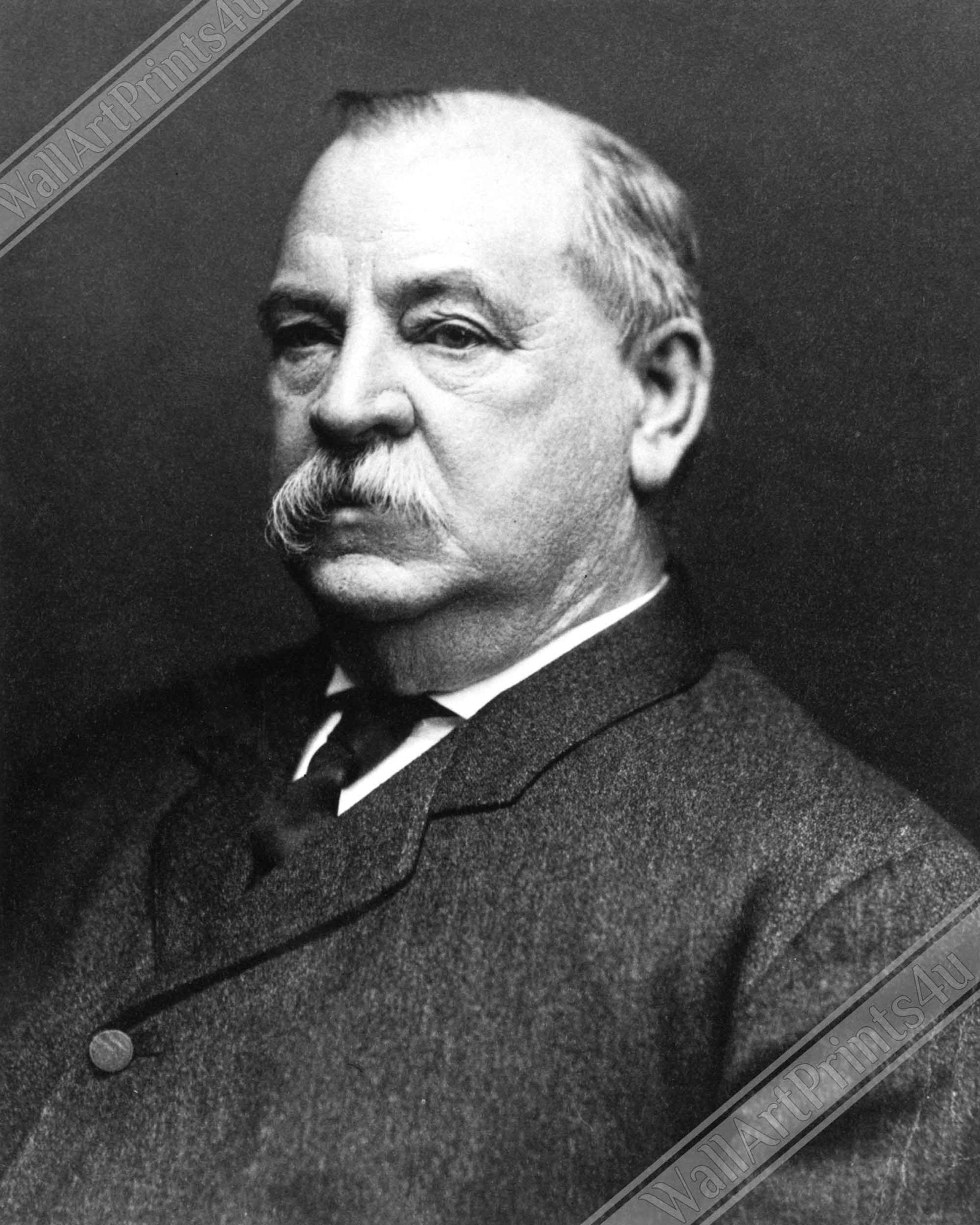 Grover Cleveland Framed, 22nd & 24th President Of Usa, Vintage Photo Portrait - Grover Cleveland Framed Print - WallArtPrints4U