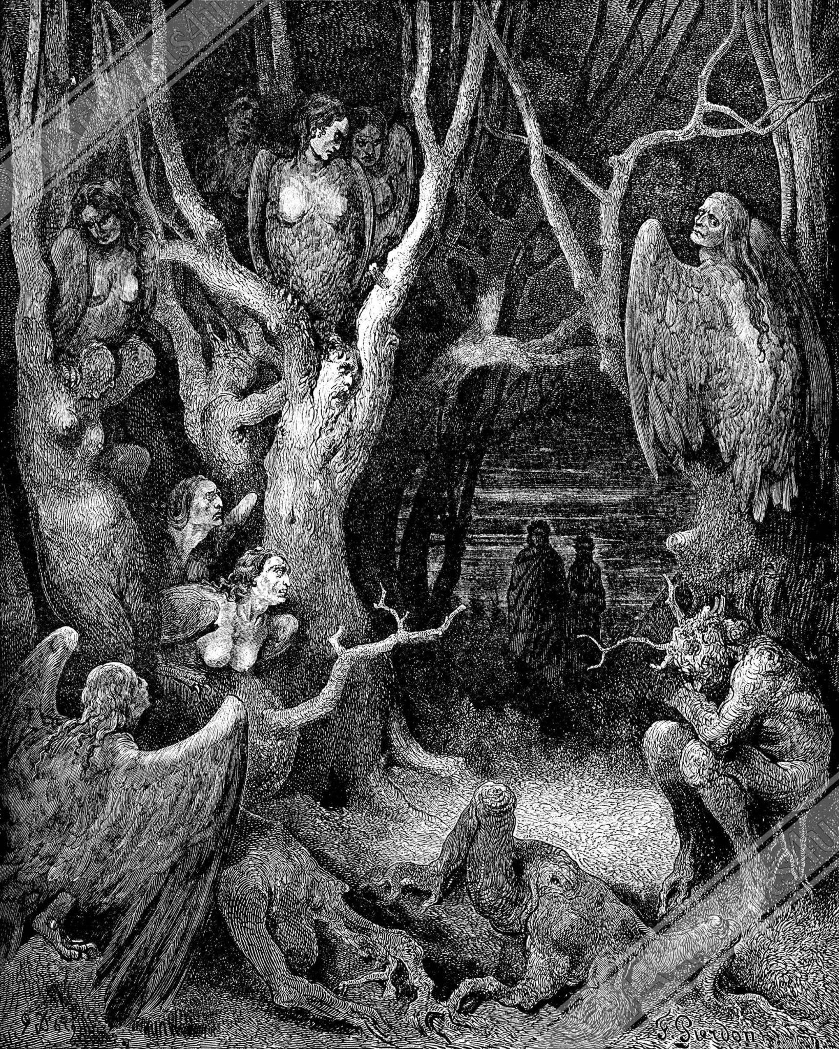 Gustav Dore Poster - Forest Of Suicides Poster - Halloween Gothic Print, Harpies Torment The Human Trees - WallArtPrints4U