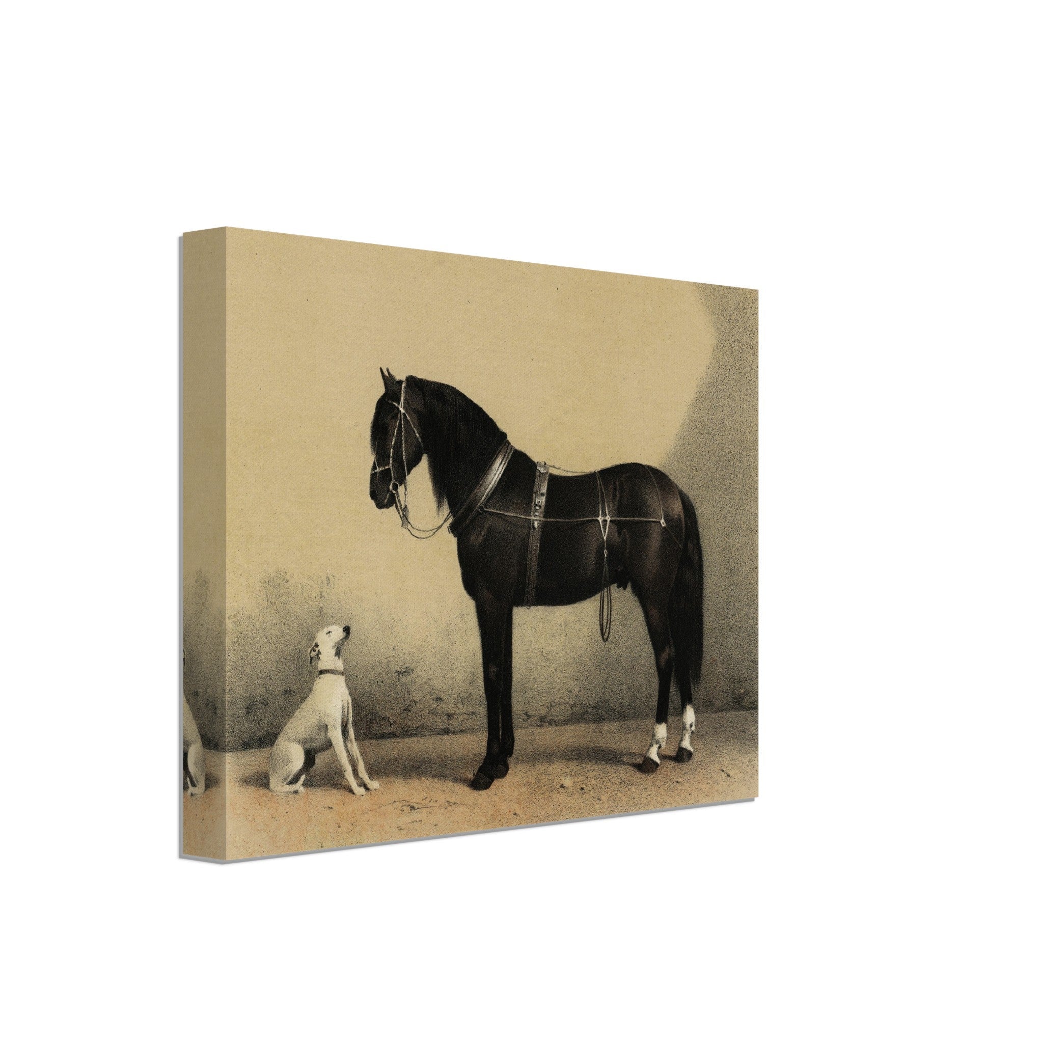 Horse And Dog Canvas, Black Orloff Horse Looking At A White Dog, They Are Friends - WallArtPrints4U