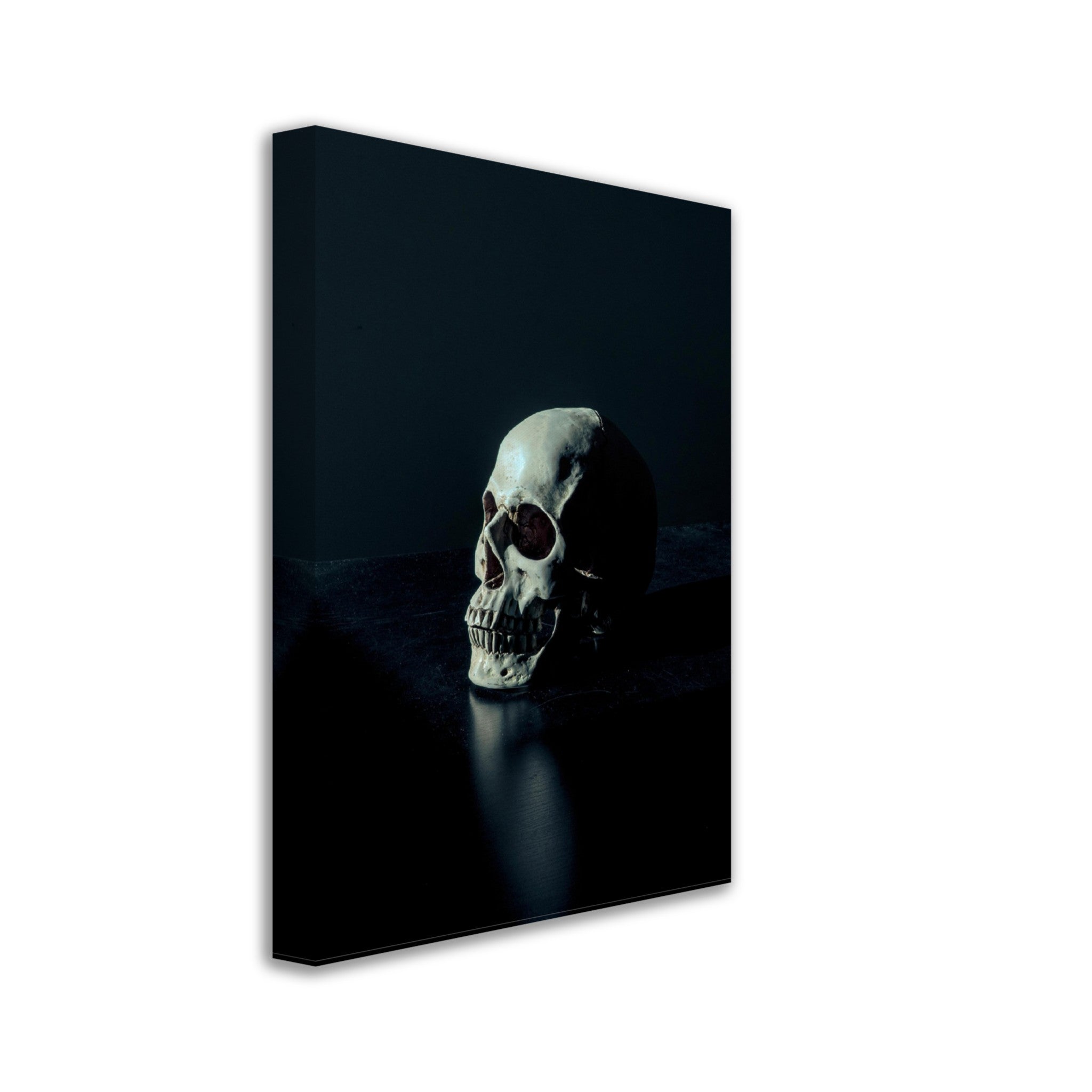 Human Skull Canvas, White Skull On Black Surface Canvas Print - WallArtPrints4U