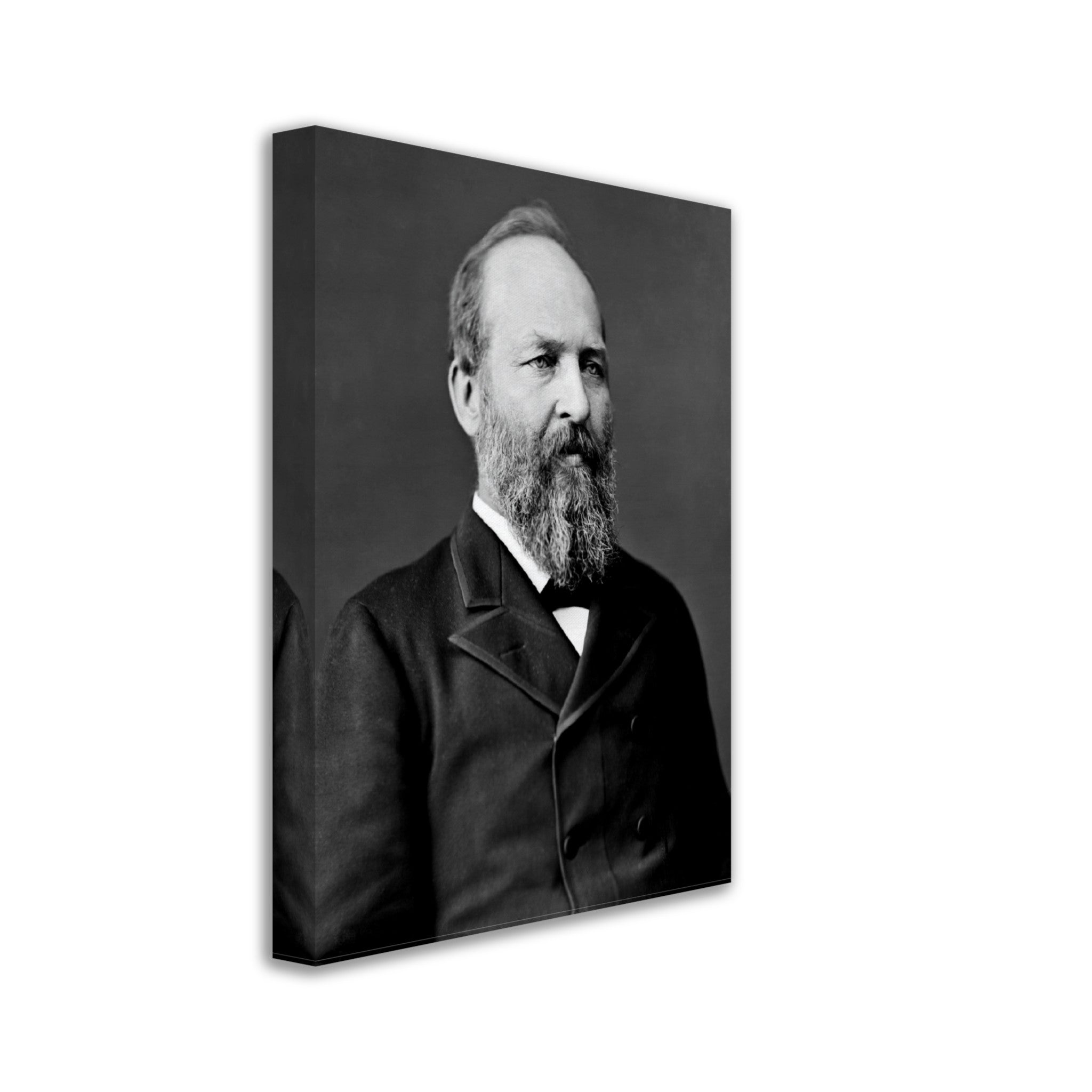 James Garfield Canvas, 20th President Of Usa, Assasinated, Vintage Photo Portrait - James Garfield Canvas Print - WallArtPrints4U