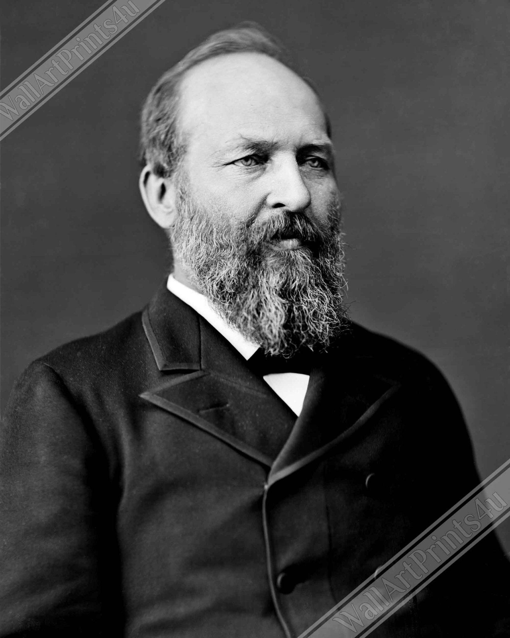 James Garfield Canvas, 20th President Of Usa, Assasinated, Vintage Photo Portrait - James Garfield Canvas Print - WallArtPrints4U