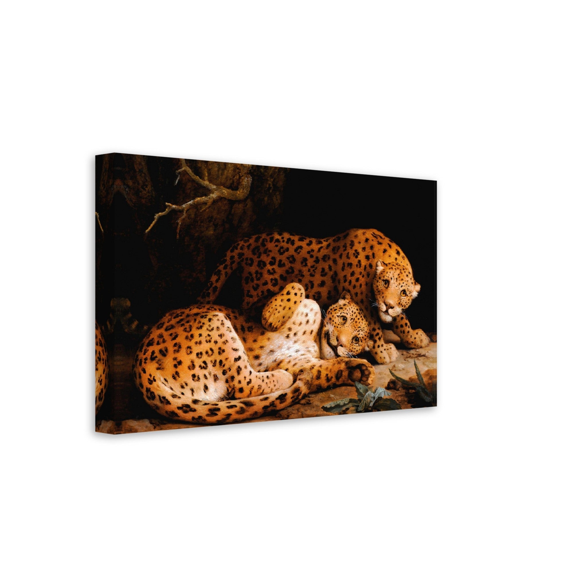 Leopard Canvas Print, Vintage Leopard Art, Leopards At Play George Stubbs - WallArtPrints4U