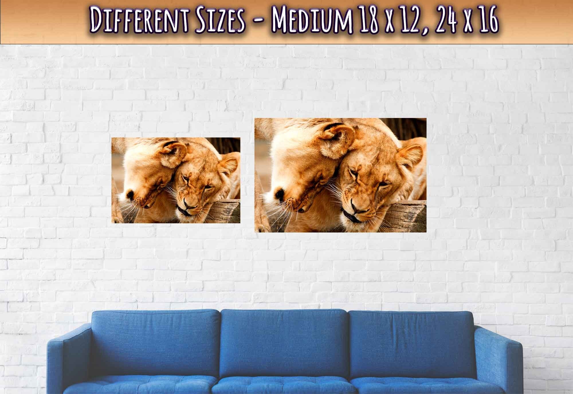 Lioness Poster, Cuddling Lioness Print - Animal Lion Print - WallArtPrints4U