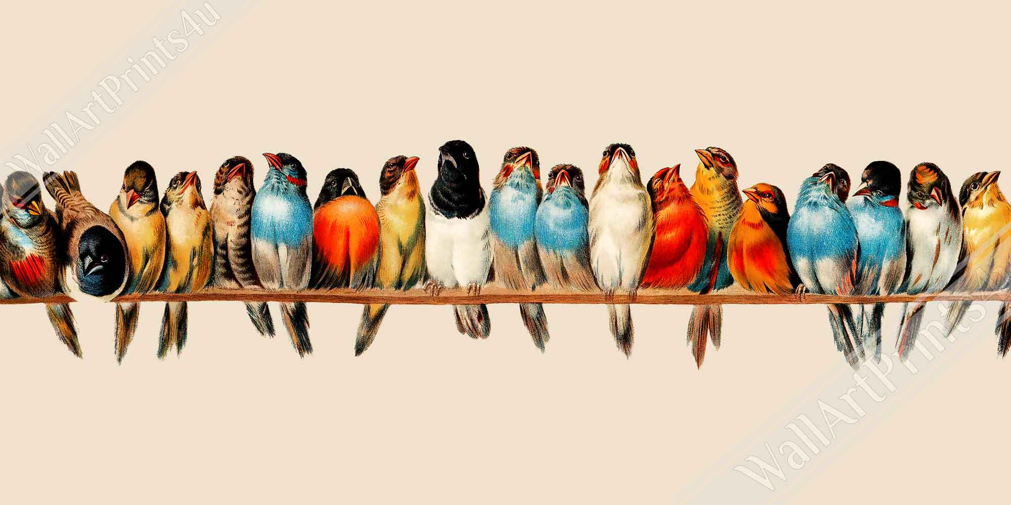 Perch Of Birds Canvas, Hector Giacomelli Vintage Bird Canvas Print - Perch Of Birds Canvas Print - WallArtPrints4U