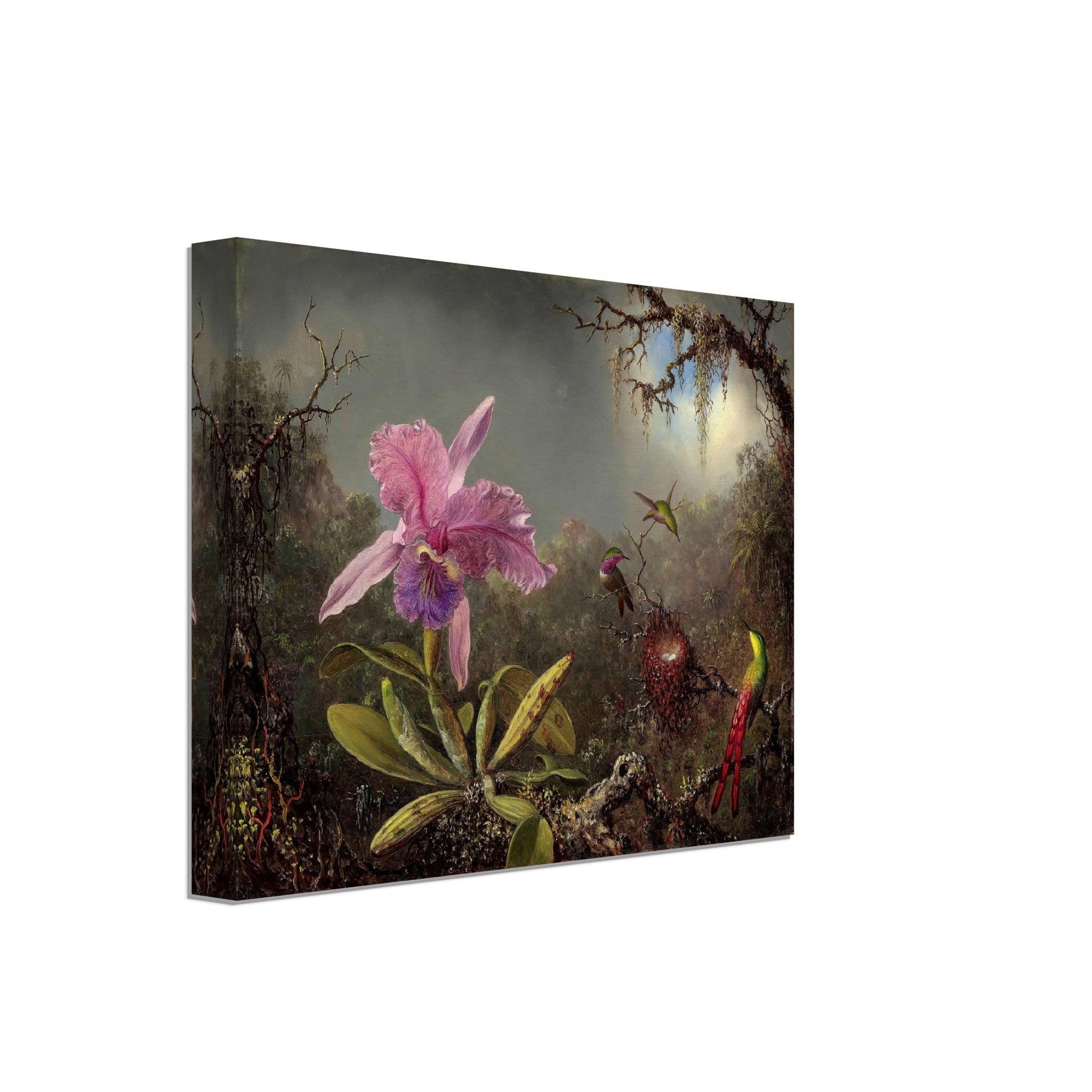 Pink Orchid Canvas - Cattleya Orchid With Three Hummimgbirds - Vintage Orchid Art Canvas Print - WallArtPrints4U