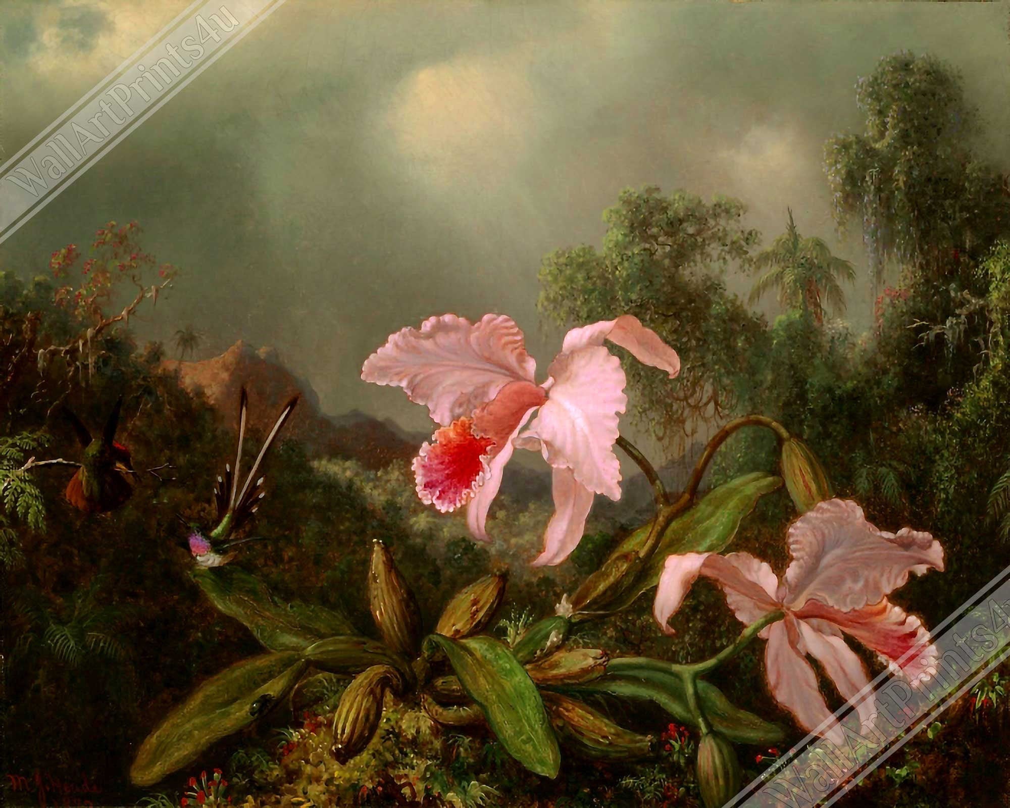 Pink Orchid Canvas - Jungle Orchid With Hummimgbirds - Vintage Orchid Art Canvas Print - WallArtPrints4U
