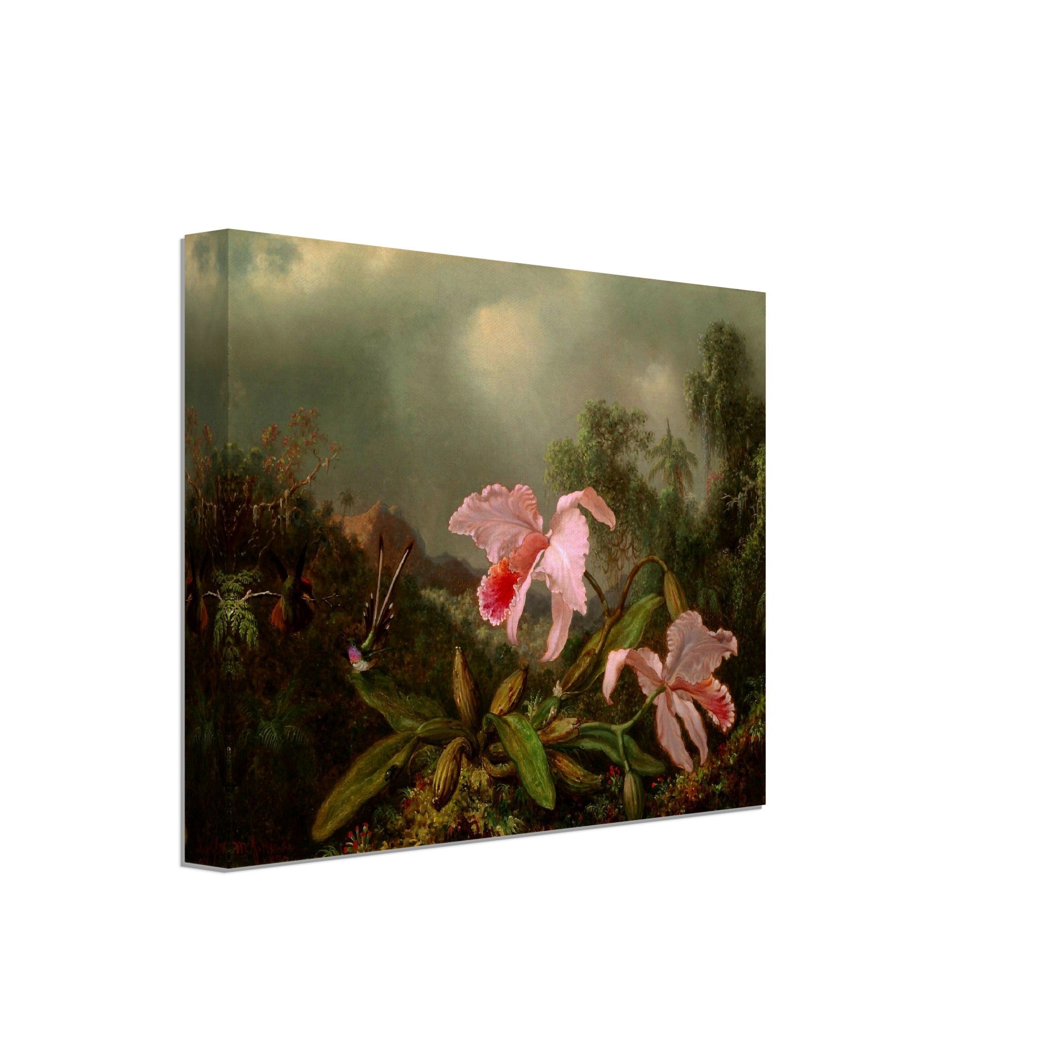 Pink Orchid Canvas - Jungle Orchid With Hummimgbirds - Vintage Orchid Art Canvas Print - WallArtPrints4U