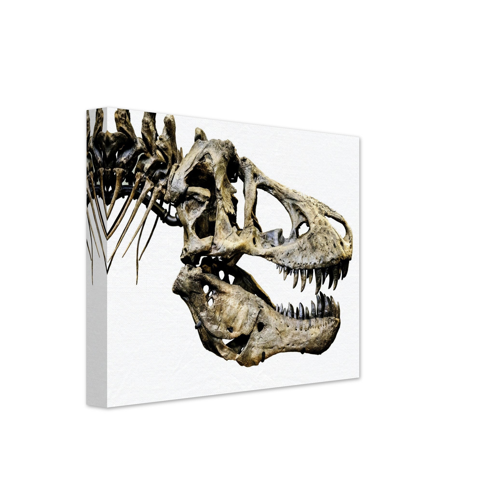 T Rex Skull Canvas, Vintage Tyrannosaurus Skull Art - T Rex Skeleton Skull Canvas Print Rexy - WallArtPrints4U