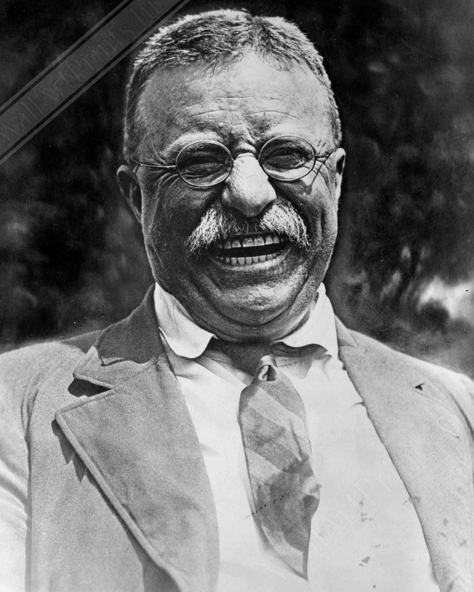 Teddy Roosevelt Poster, Father Of The Teddy Bear, Vintage Photo Theodore Roosevelt Print Great White Chief - WallArtPrints4U