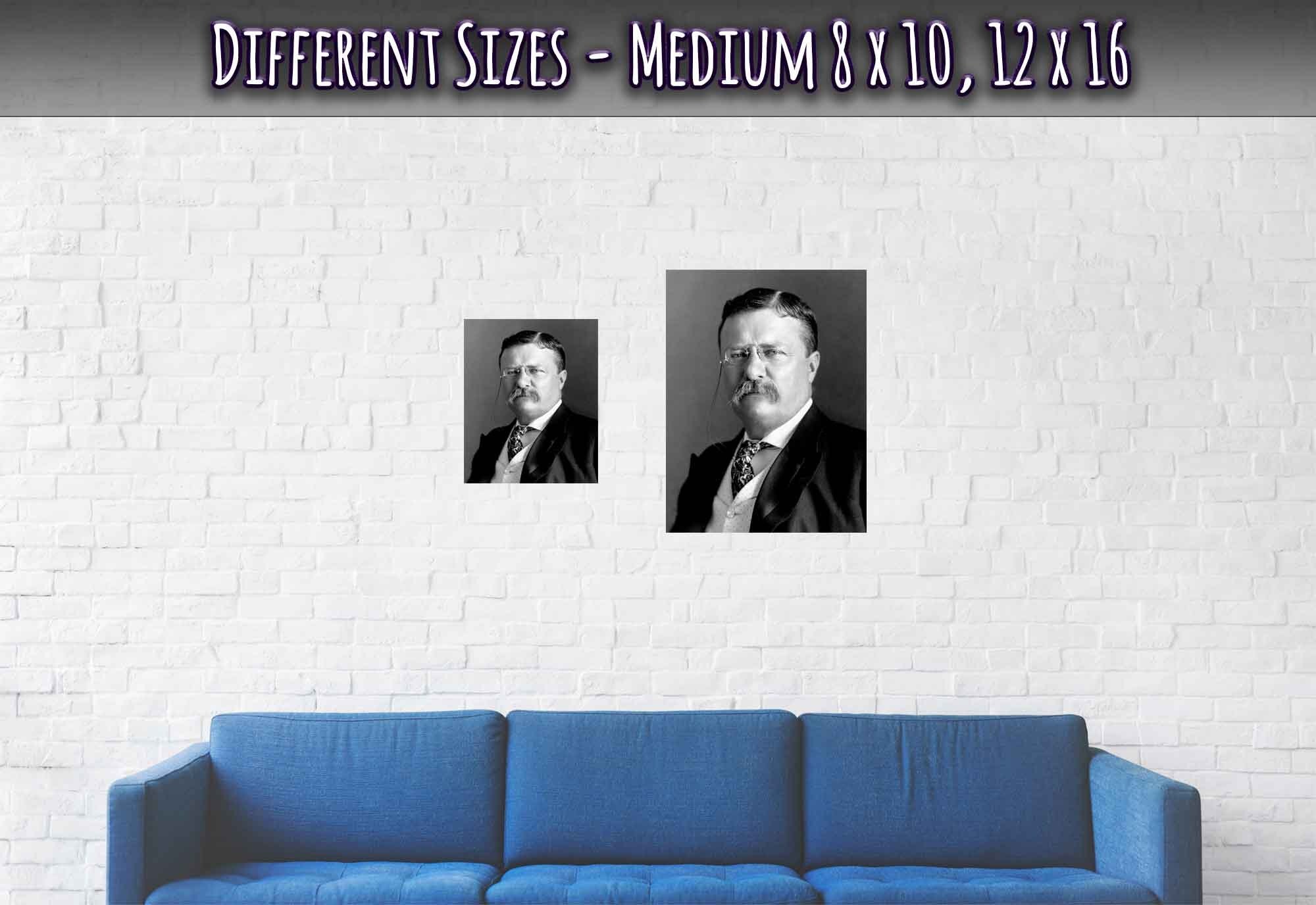 Theodore Roosevelt Poster, 26th President Of Usa, Vintage Photo Portrait - Theodore Roosevelt Print - WallArtPrints4U