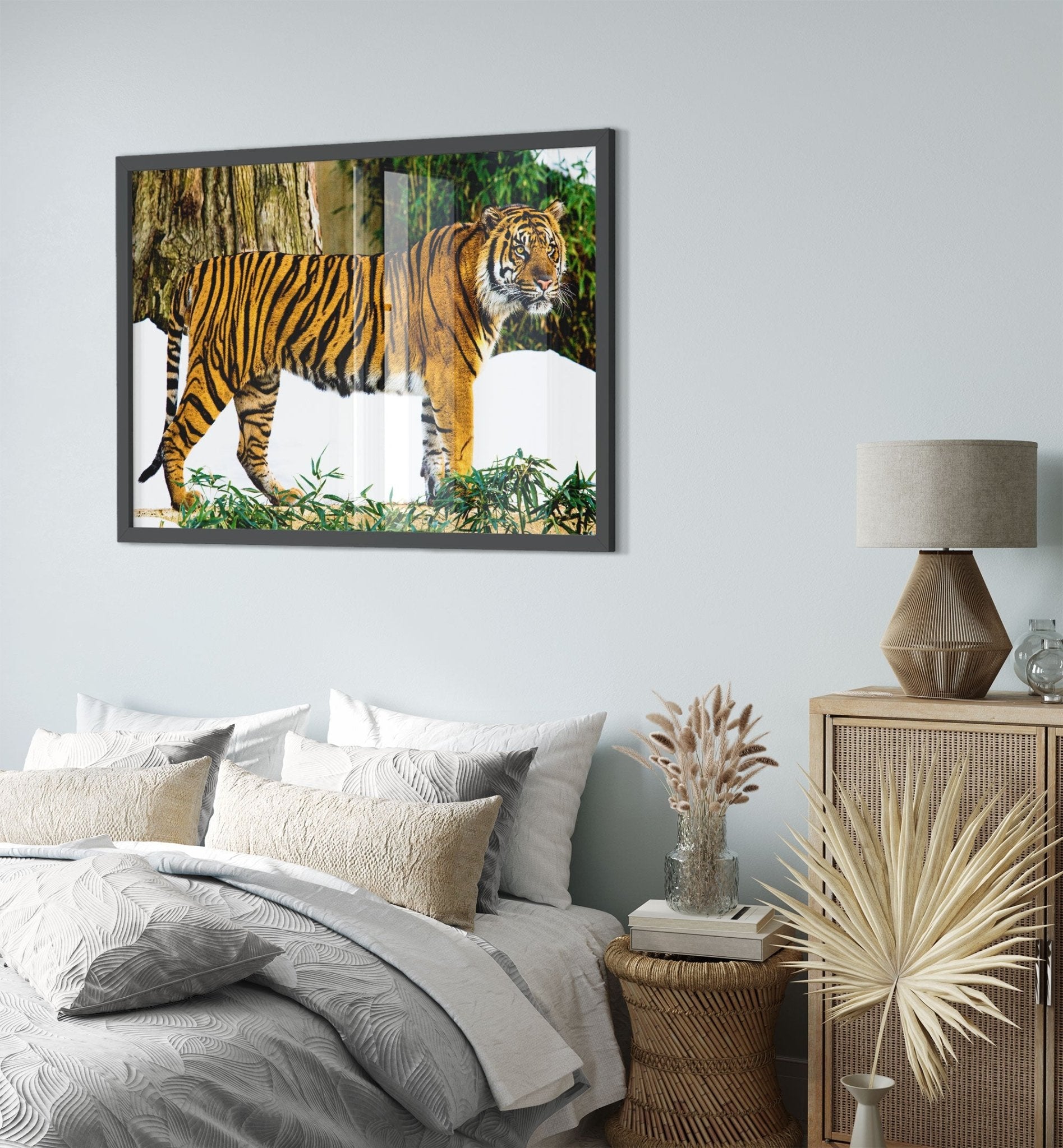Tiger Framed Print , Sumatran Tiger Smithsonian National Zoo 2009 - WallArtPrints4U
