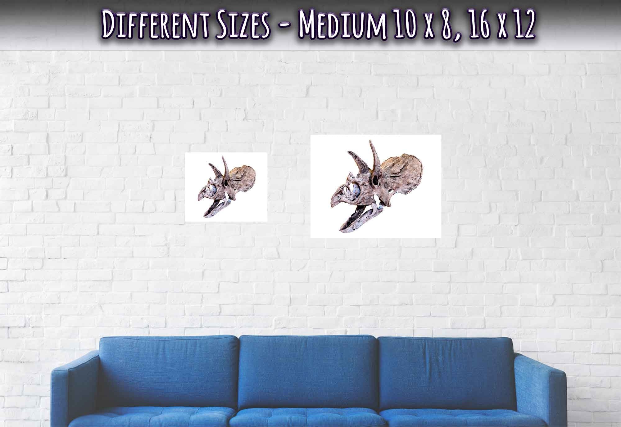 Triceratops Skull Poster, Vintage Triceratops Horridus Skull Art - Triceratops Skeleton Skull Print - WallArtPrints4U