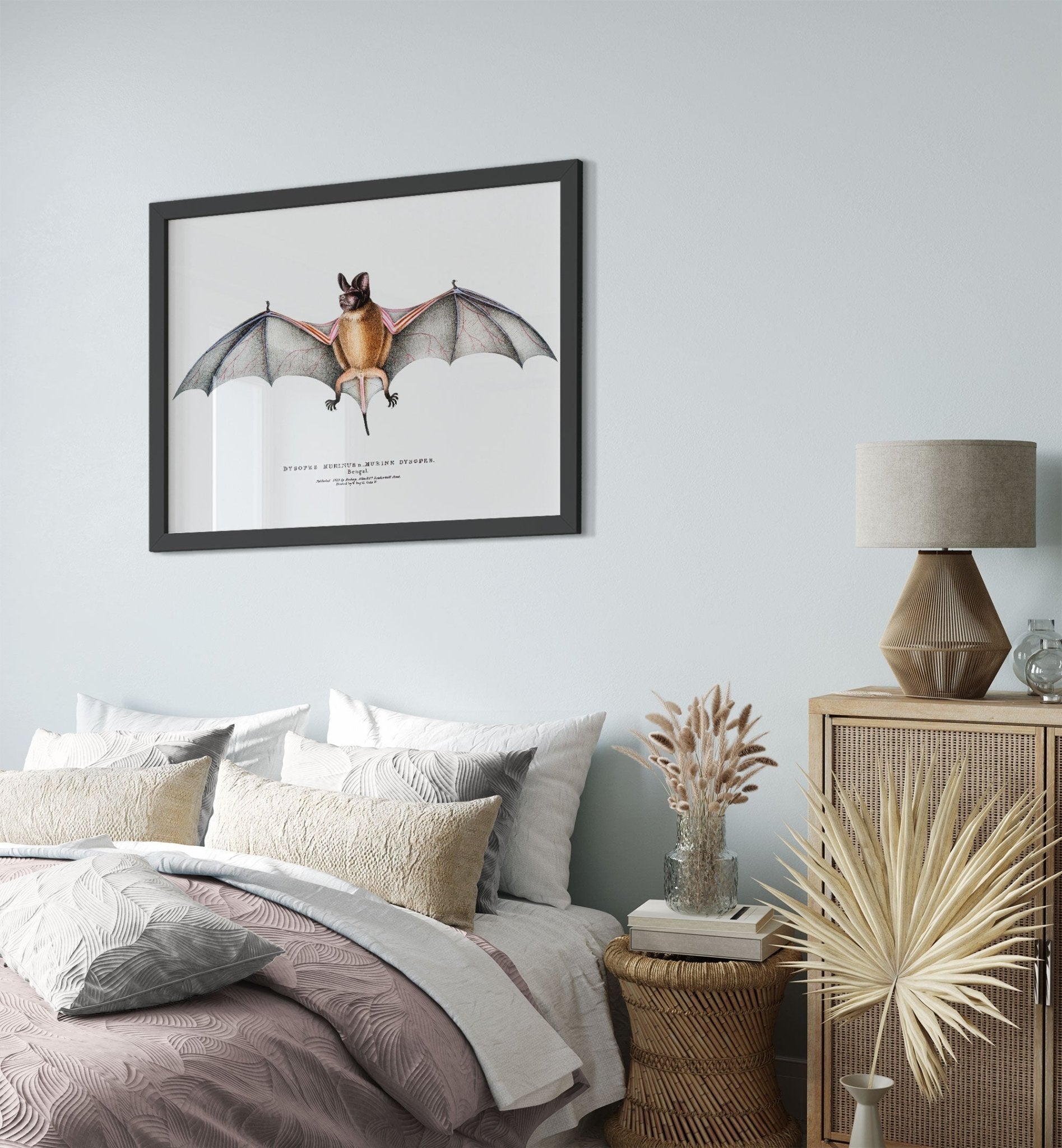 Vintage Bat Framed, John Edward Gray - Vintage Parti Coloured Bat Framed Print - WallArtPrints4U