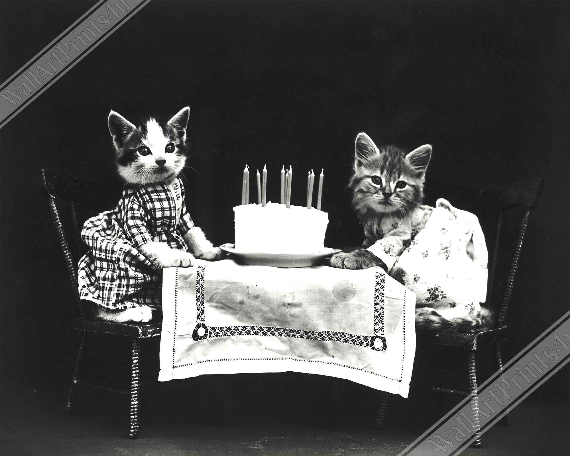 Vintage Birthday Kitten Canvas Print - Cute Kitten Canvas Print - Vintage Cat Kitten Canvas - WallArtPrints4U