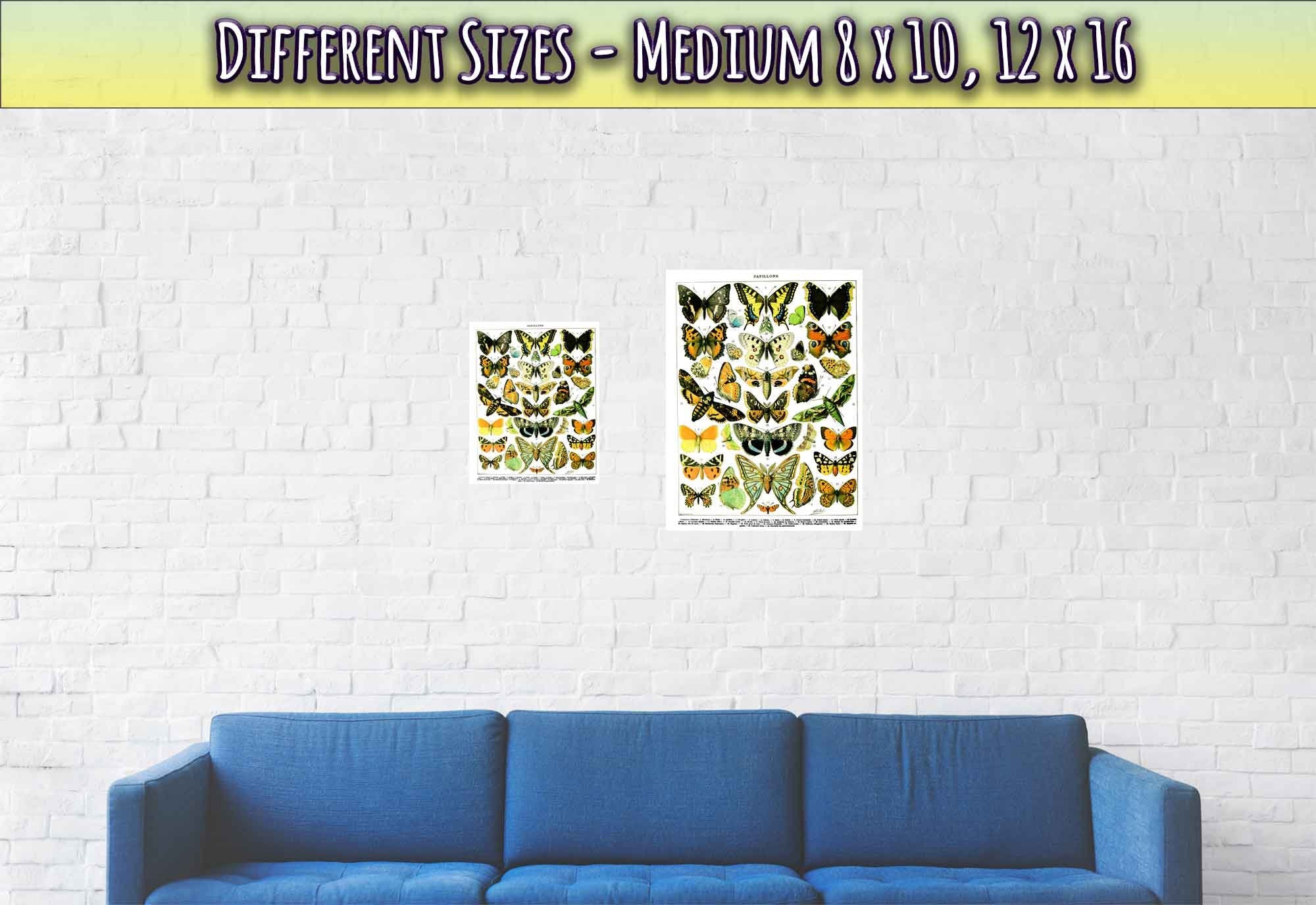 Vintage Butterfly Poster, Adolphe Millot - Papillons (Butterfly) Poster Print - WallArtPrints4U
