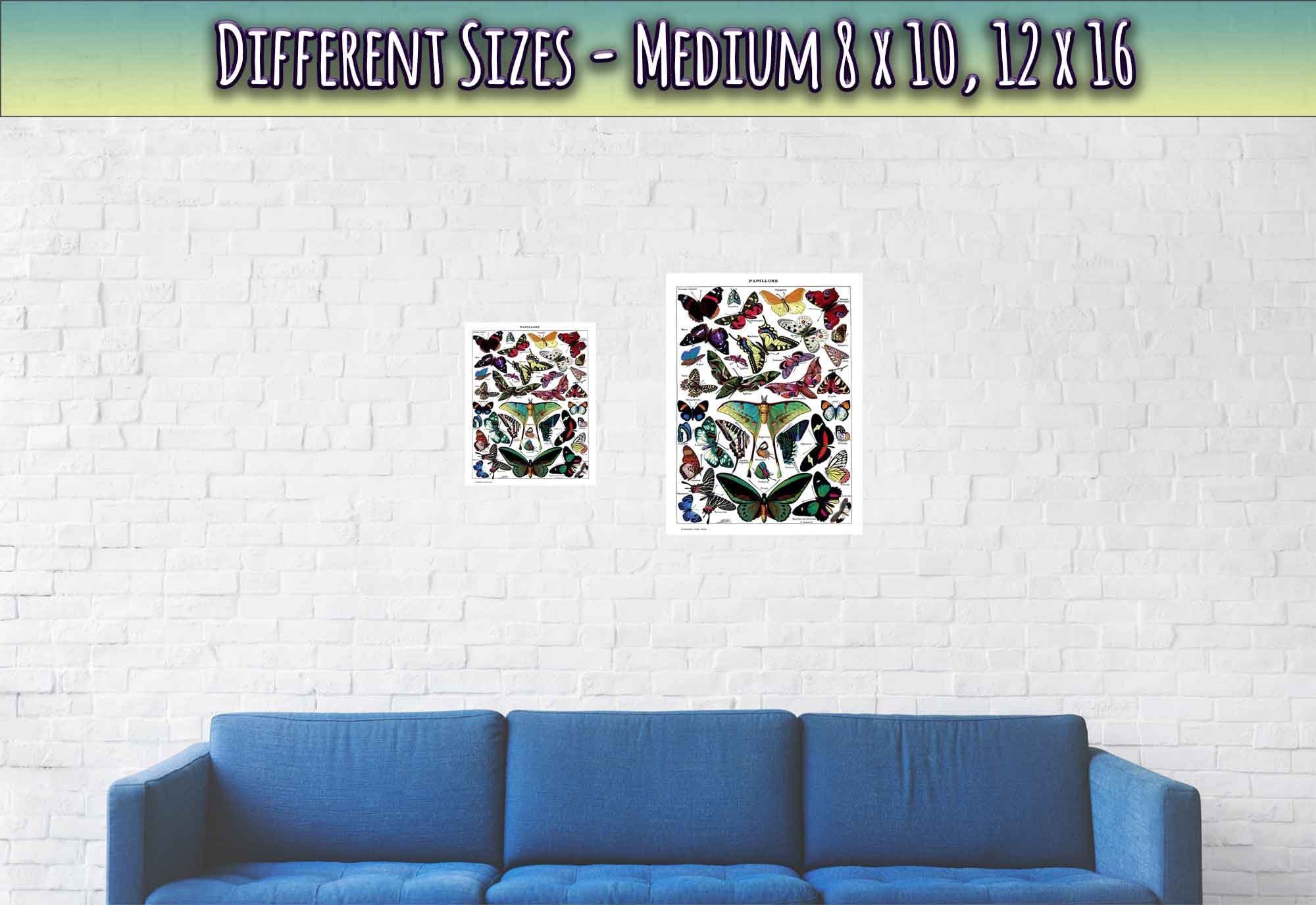 Vintage Butterfly Poster - Adolphe Millot - Papillons (Butterfly) Print - WallArtPrints4U
