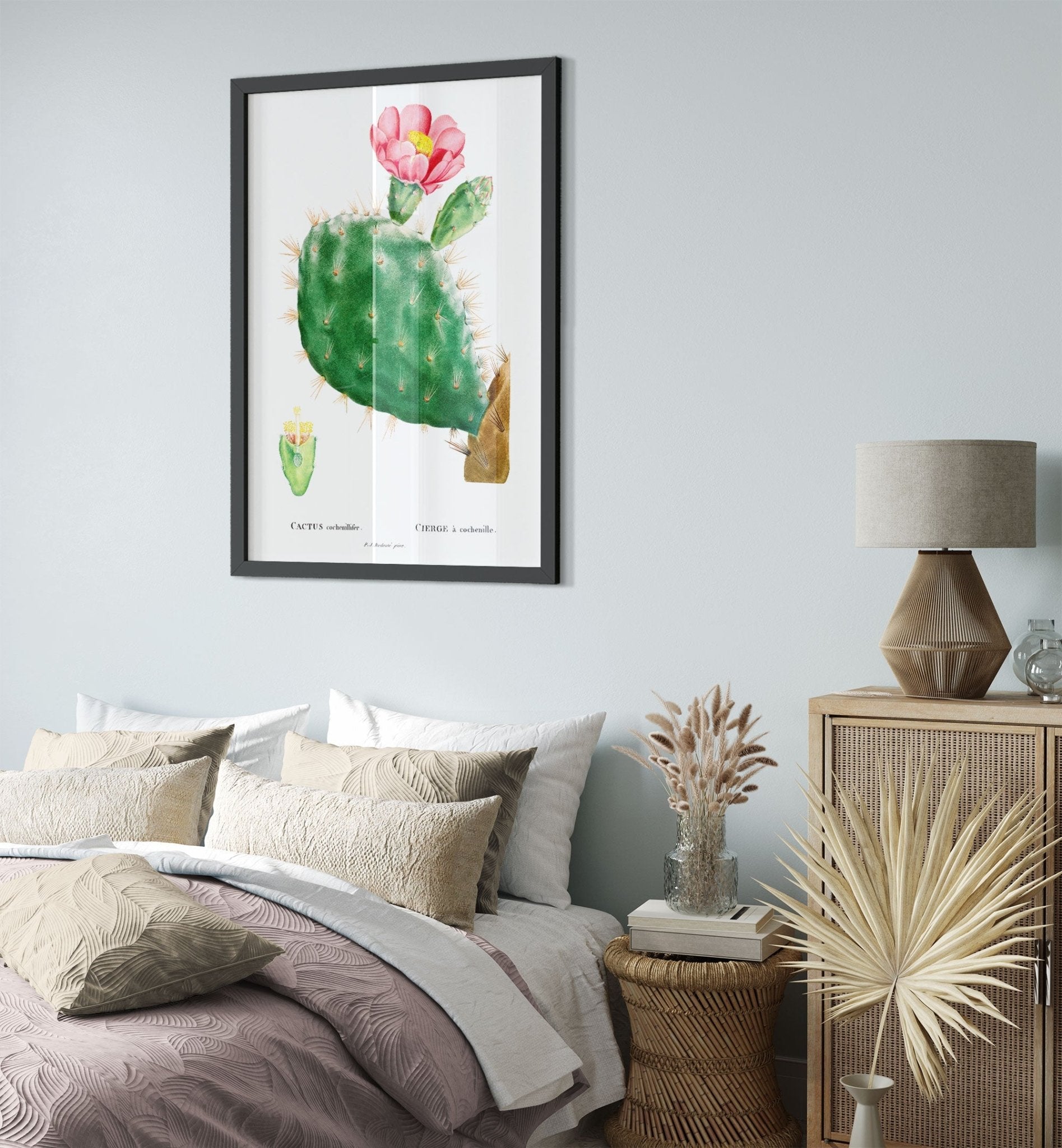 Vintage Cactus Framed Cactus Botanical Wall Art Pierre Joseph Redoute 1799 UK, EU USA Domestic Shipping - WallArtPrints4U