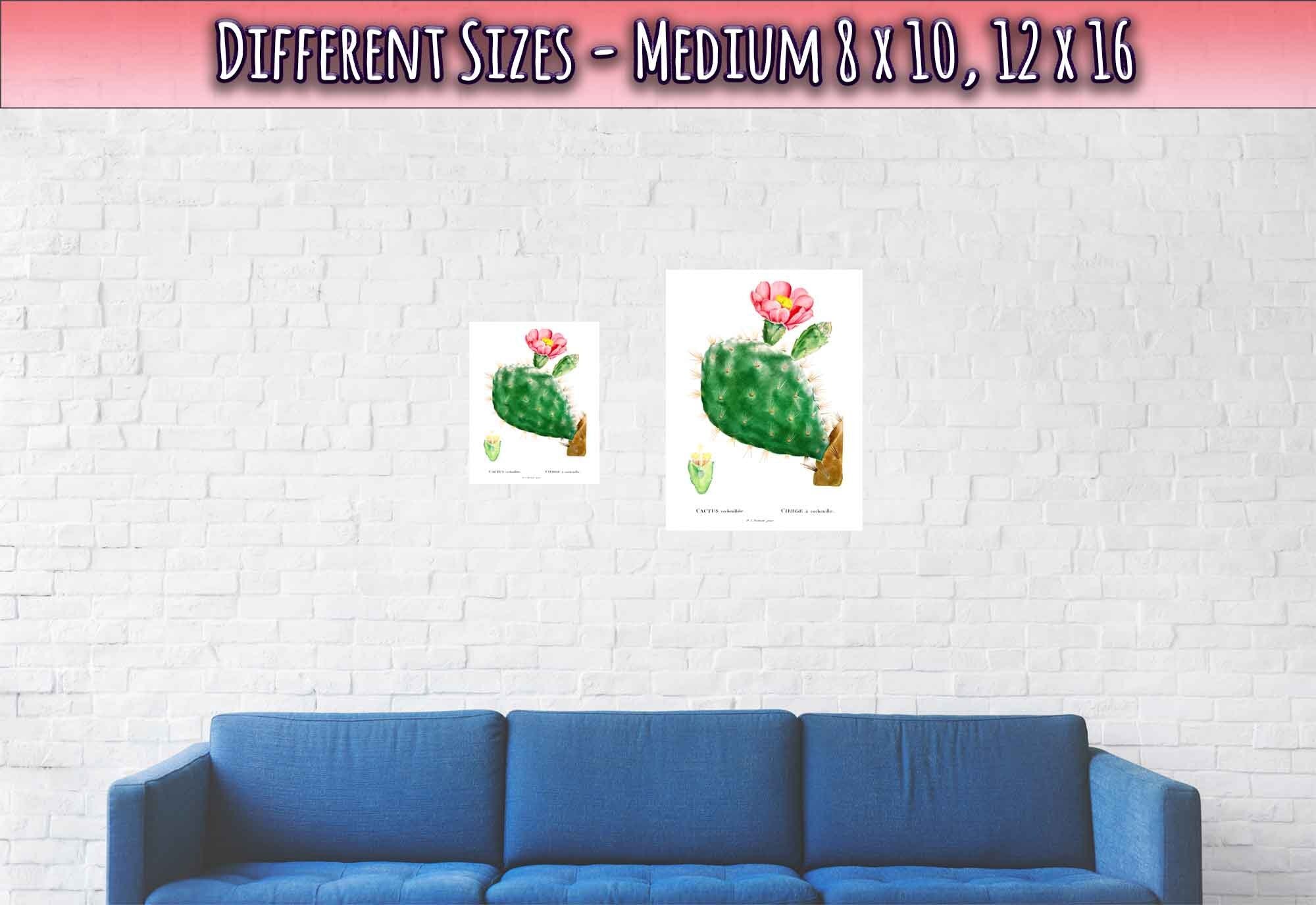 Vintage Cactus Poster Cactus Botanical Wall Art Pierre Joseph Redoute 1799 - WallArtPrints4U
