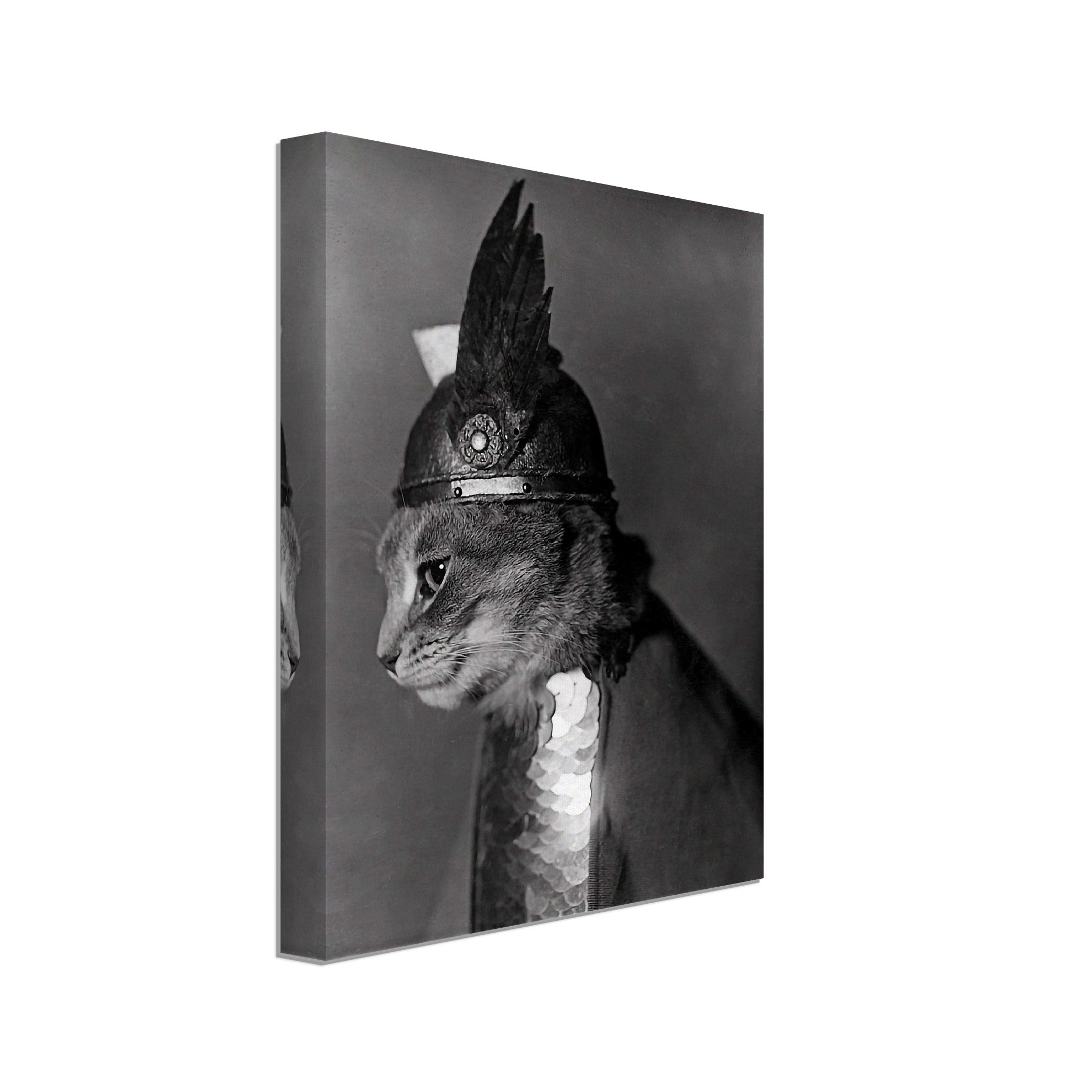 Vintage Cat Canvas Cat In Viking Helmet 1936 - Vintage Cat As Brunhilde Canvas Print - WallArtPrints4U