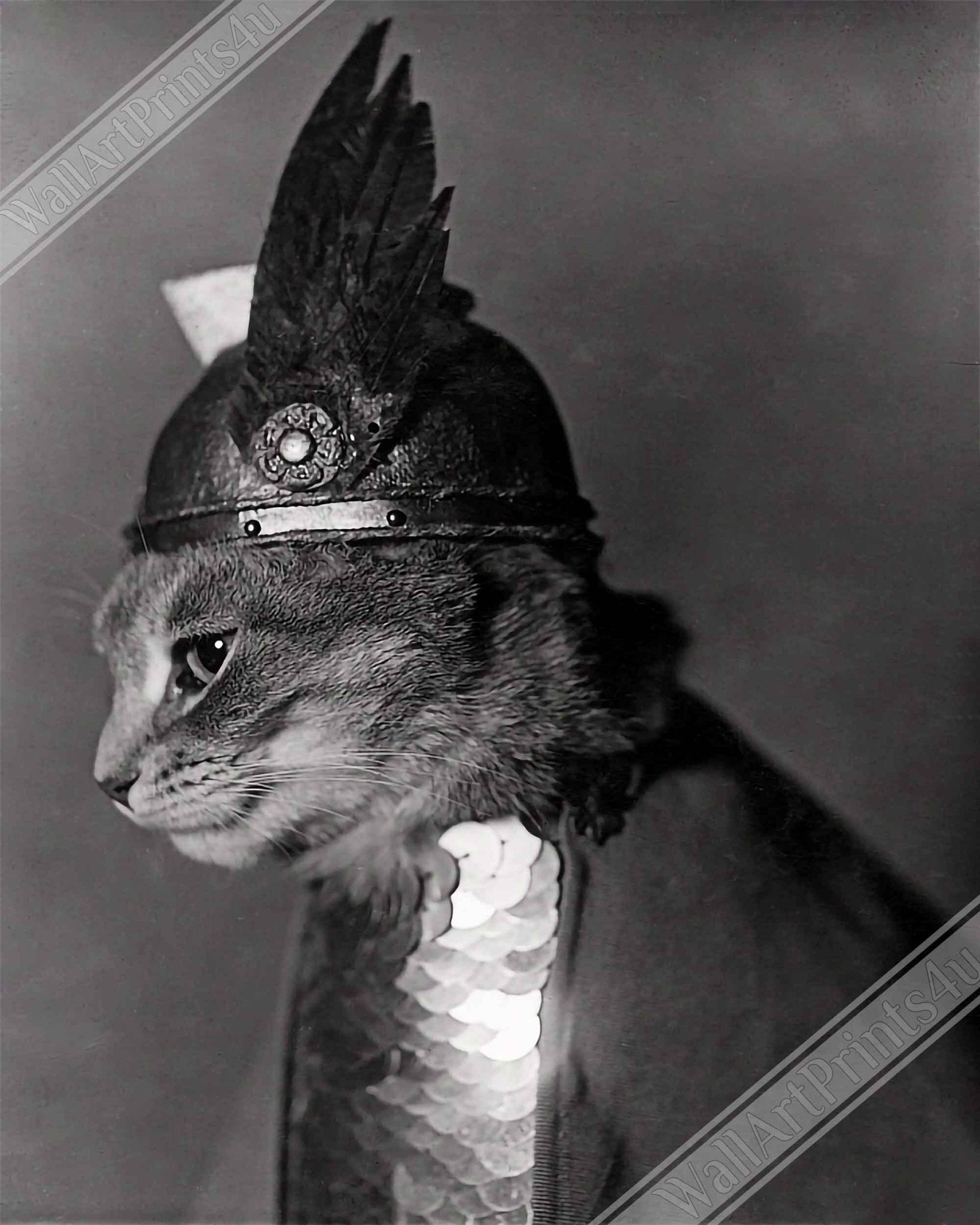 Vintage Cat Framed Cat In Viking Helmet 1936 - Vintage Cat As Brunhilde Framed Print UK, EU USA Domestic Shipping - WallArtPrints4U