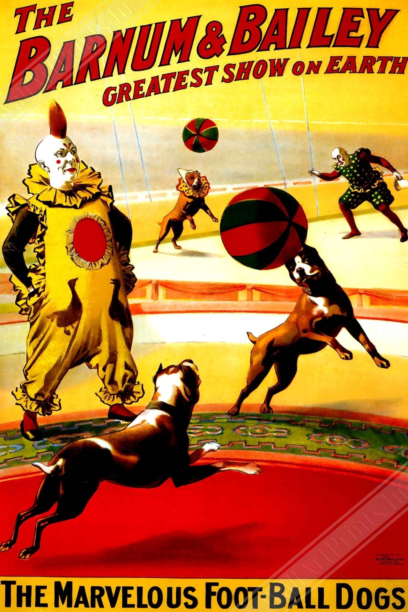 Vintage Circus Canvas, Barnum & Bailey Foot Ball Dogs, Greatest Show On Earth 1903. - WallArtPrints4U