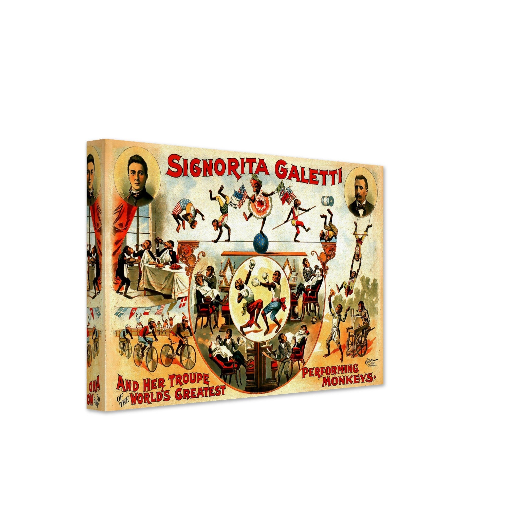 Vintage Circus Canvas, Performing Monkeys, Sigorita Galetti, Courier Company, Circa 1892. - WallArtPrints4U