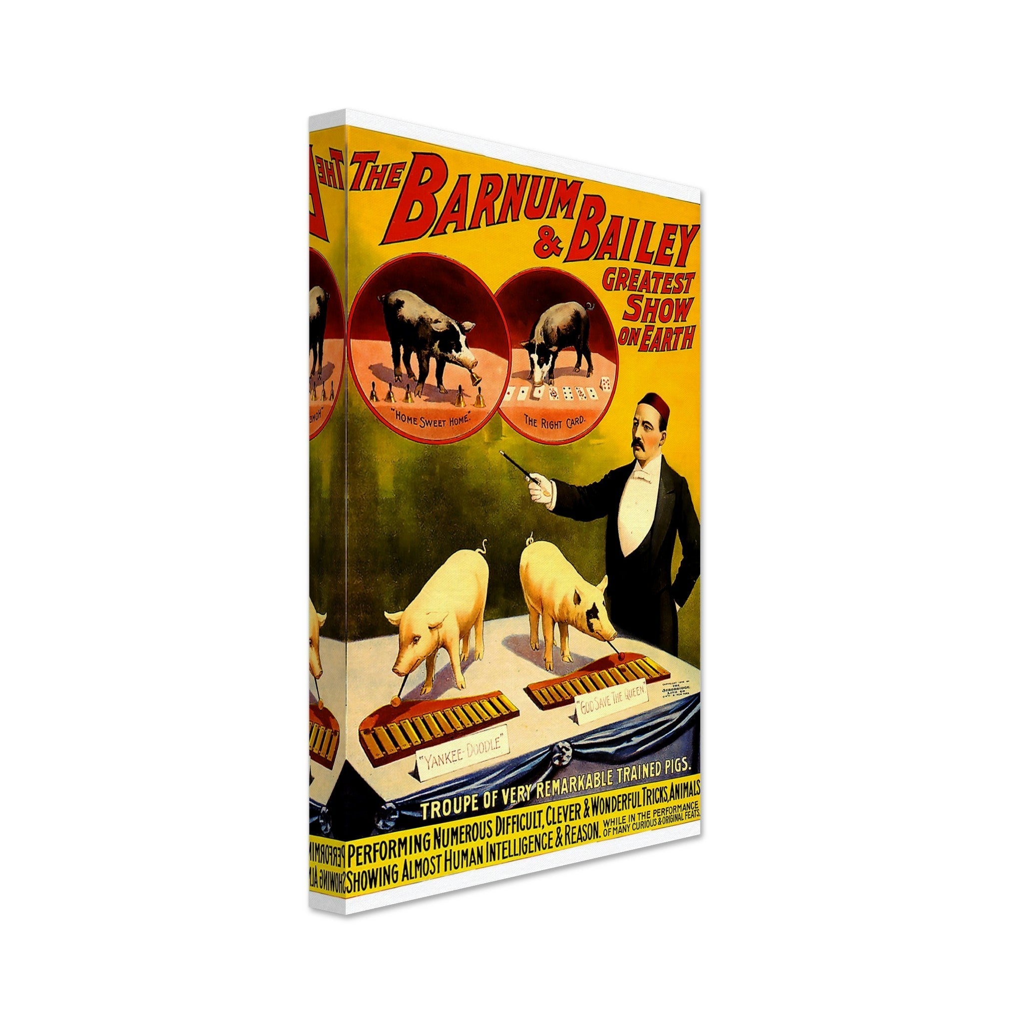 Vintage Circus Canvas, Remarkable Pigs Barnum & Bailey, Greates Show On Earth, From 1898. - WallArtPrints4U