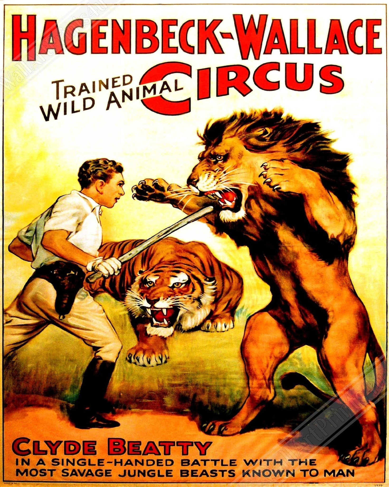 Vintage Circus Canvas, Trained Lion Circus, Clyde Beatty, Hagenbeck Wallace, Circa 1934. - WallArtPrints4U