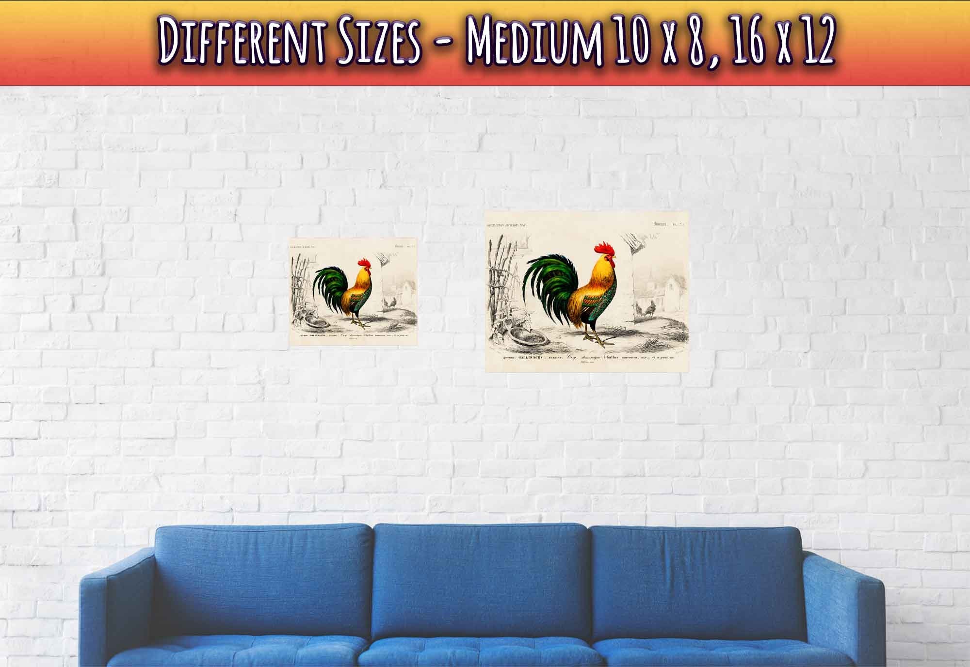 Vintage Cock Poster, Charles Dessalines, Vintage Cockerel Art - Vintage Cockerel Print - WallArtPrints4U