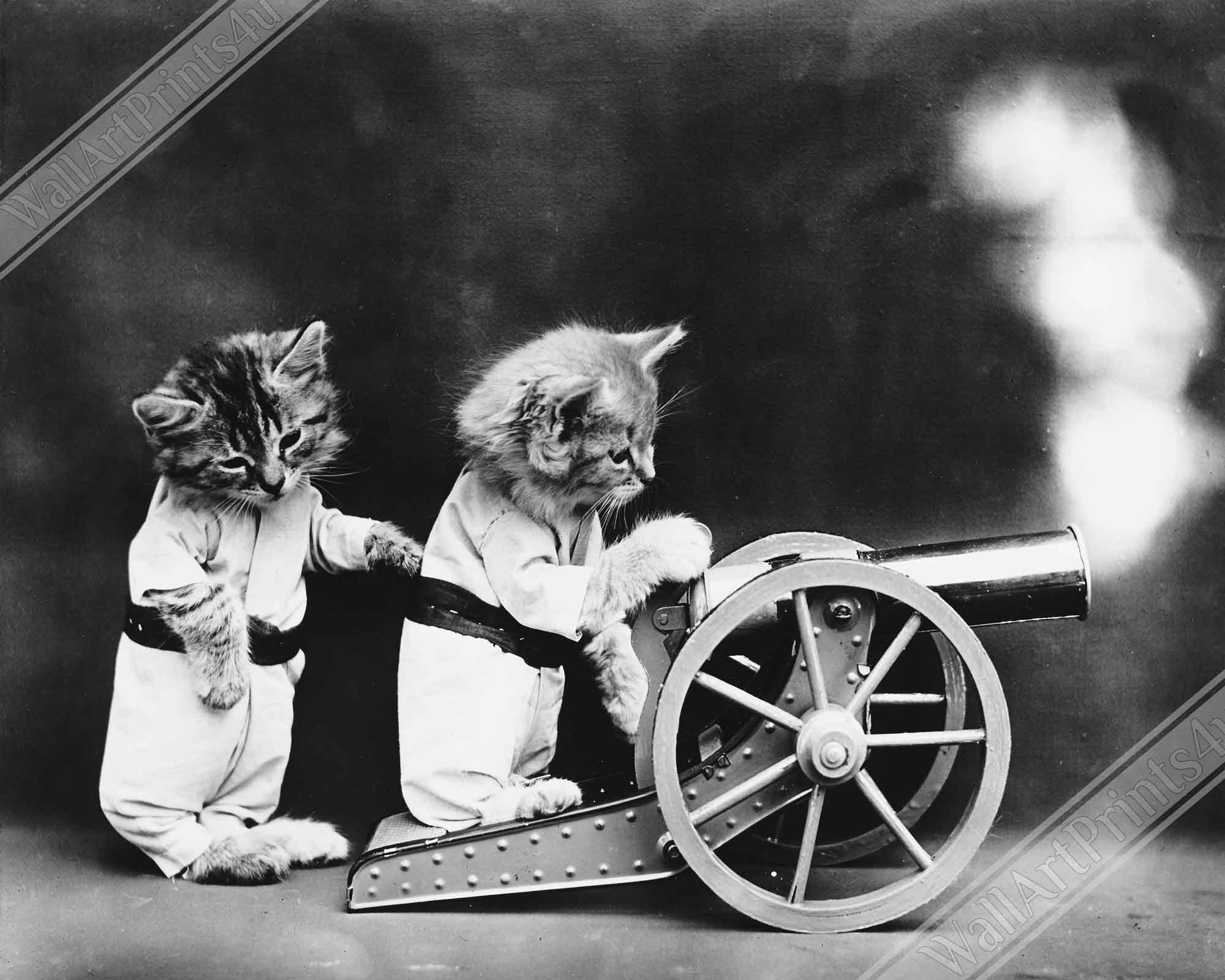 Vintage Cute Cat Canvas Print Firing Canon - Cute Kitten Canvas Print - Vintage Kitten Canvas - WallArtPrints4U