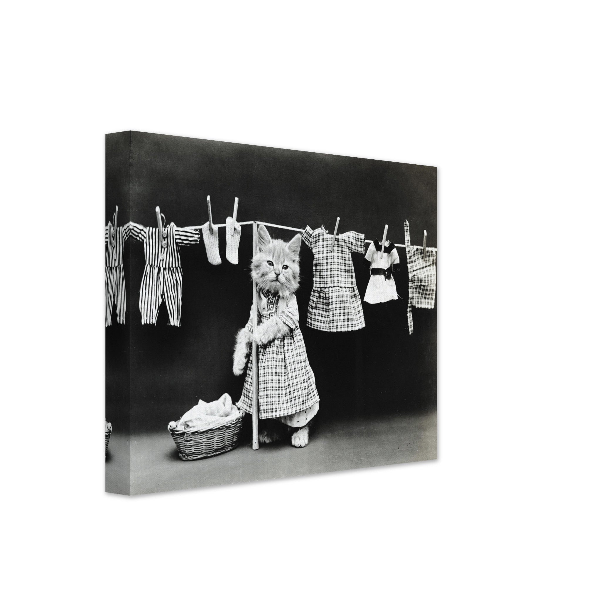 Vintage Cute Cat Canvas Print Hanging Washing - Cute Kitten Canvas Print - Vintage Kitten Canvas - WallArtPrints4U