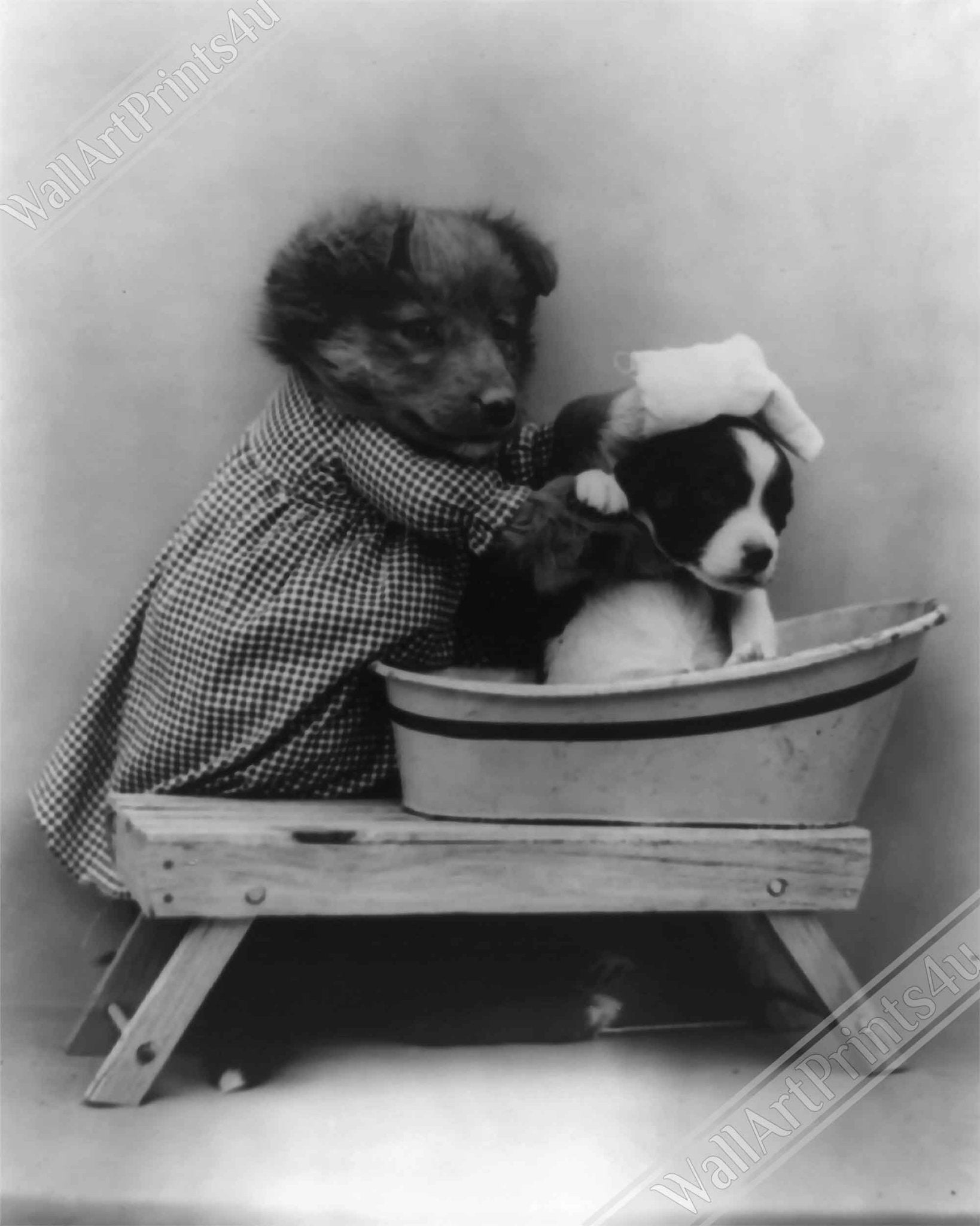 Vintage Cute Dog Canvas Print Bath Time Puppy - Cute Bathroom Puppy Canvas Print - Vintage Dog Puppy Canvas - WallArtPrints4U